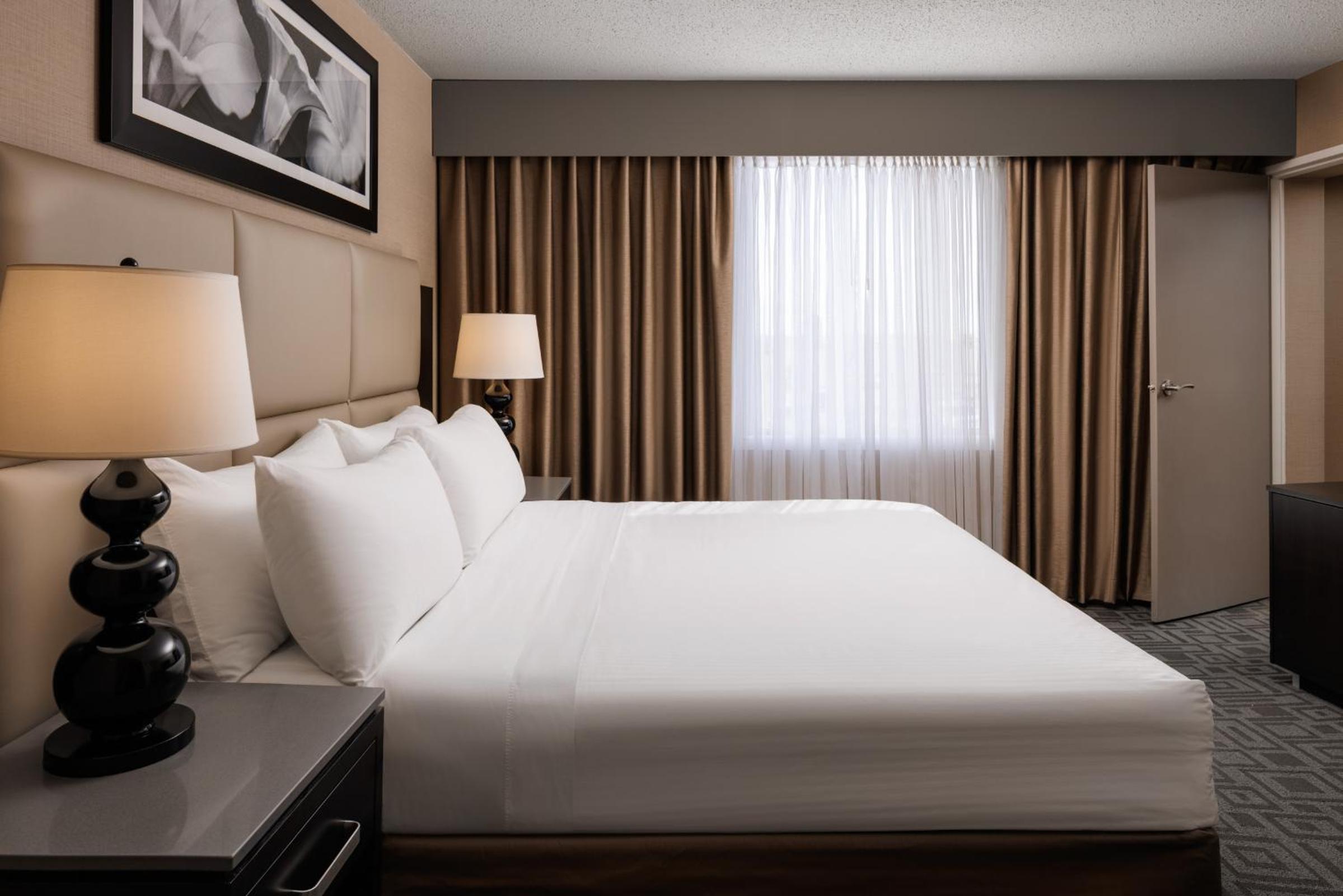 Executive Suite photo 1