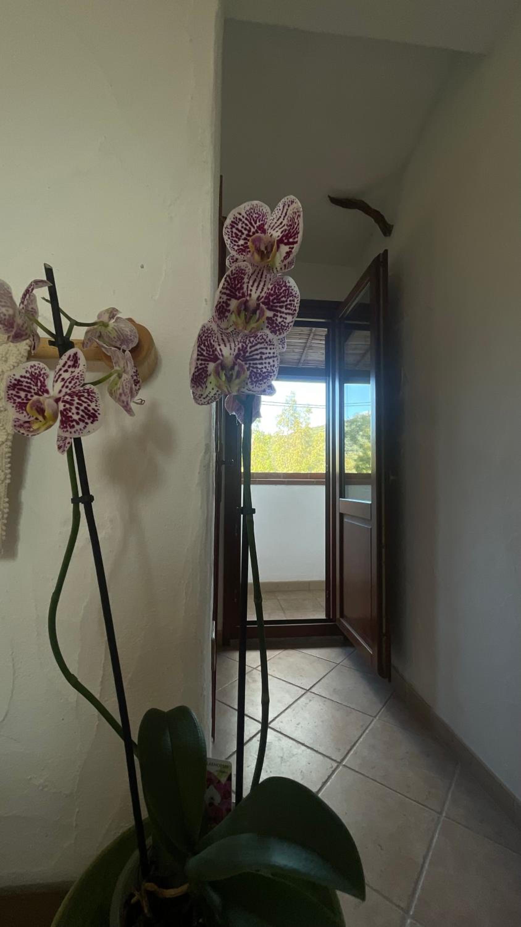 Standard Single Room photo 3