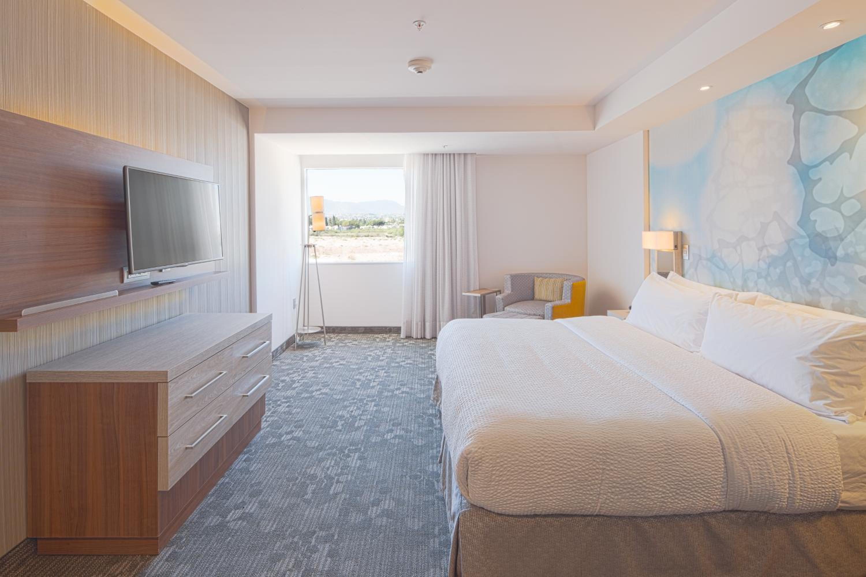 King Suite photo 2