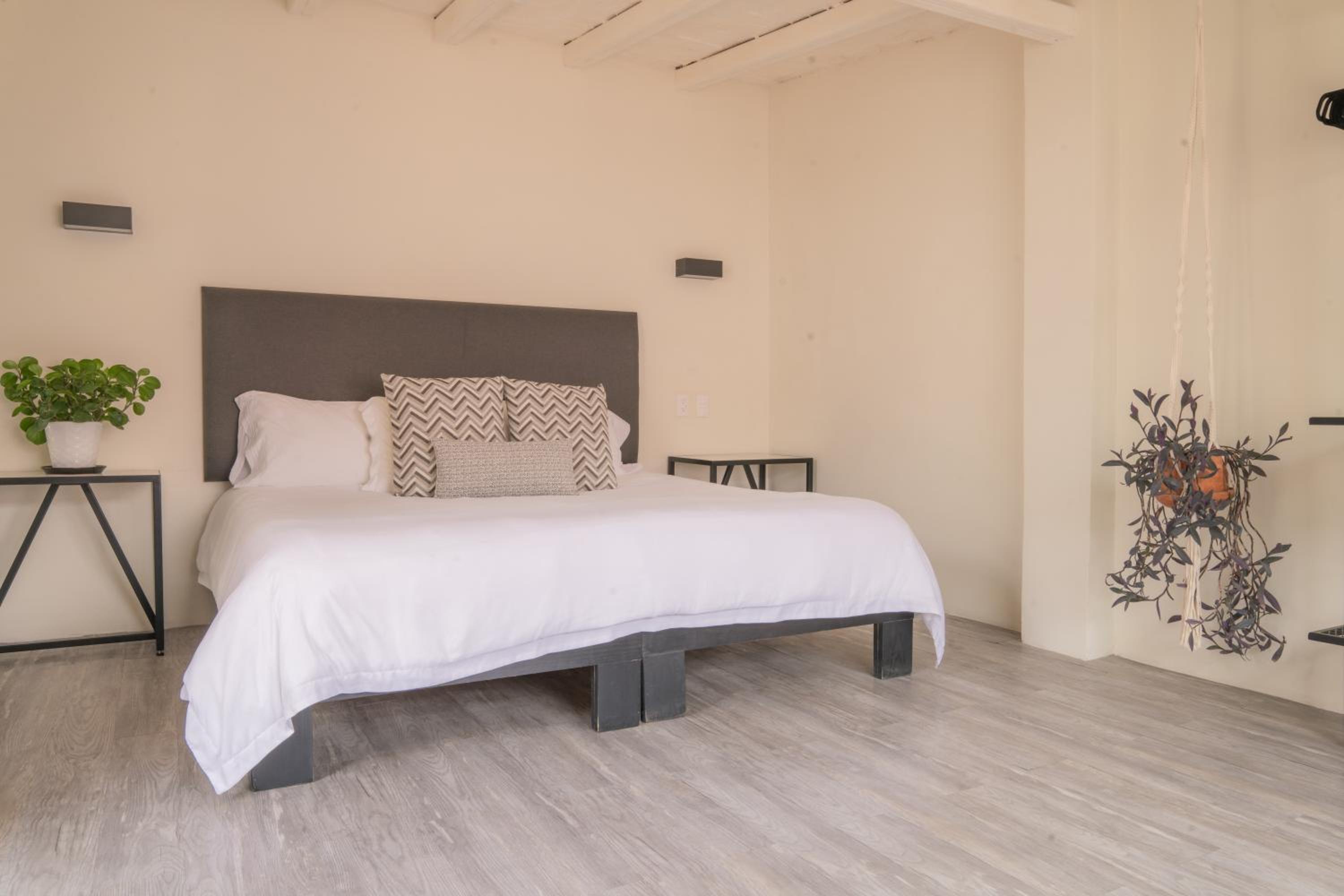 Suite with Terrace photo 1