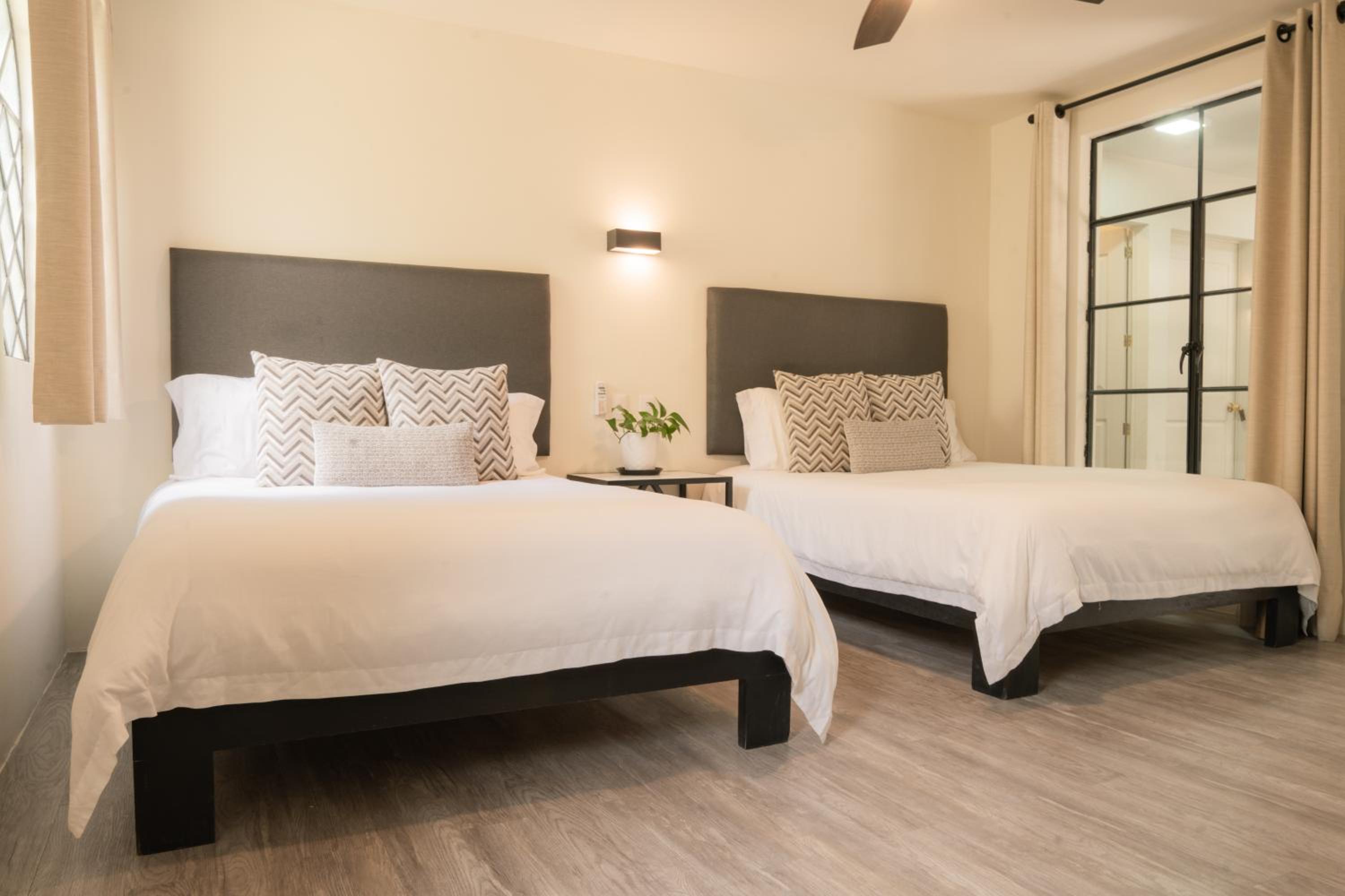 Twin Room photo 2