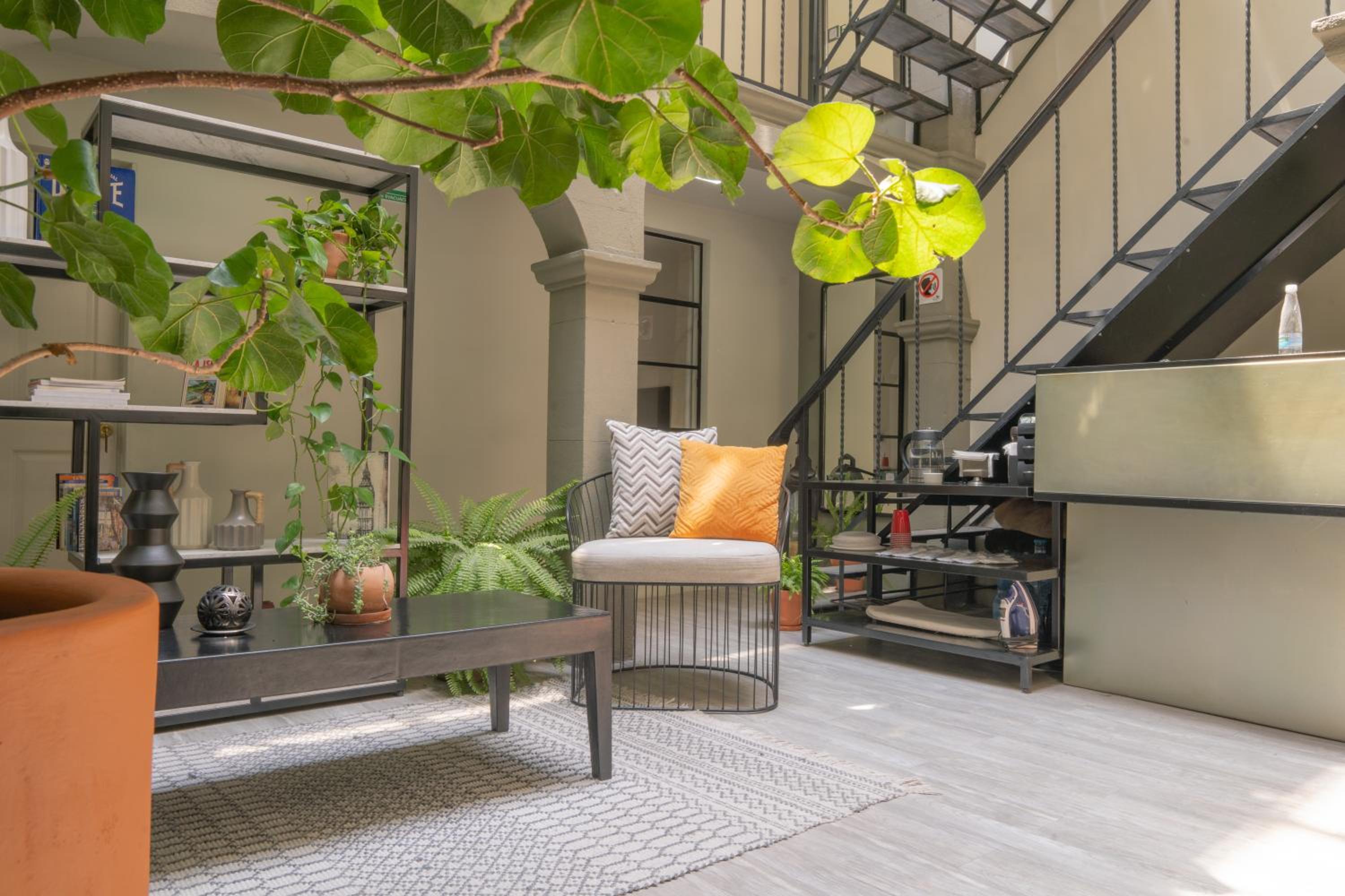 Suite with Terrace photo 3