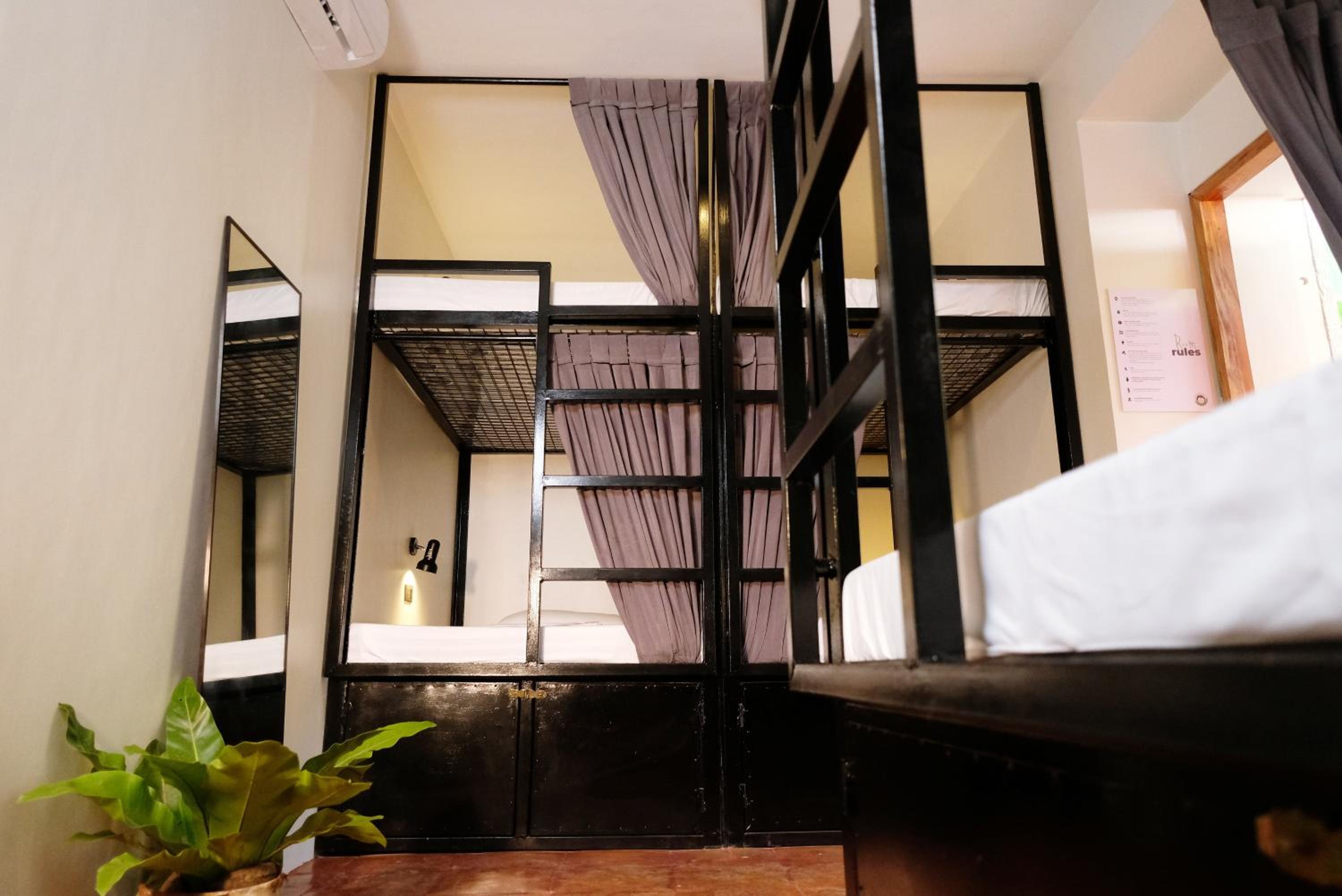 6-Bed Mixed Dormitory Room photo 1