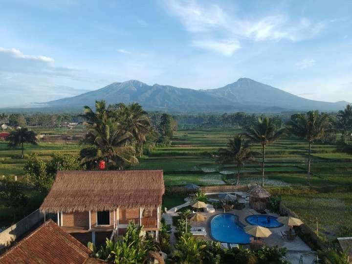 Standard Twin Room with Mountain View photo 2