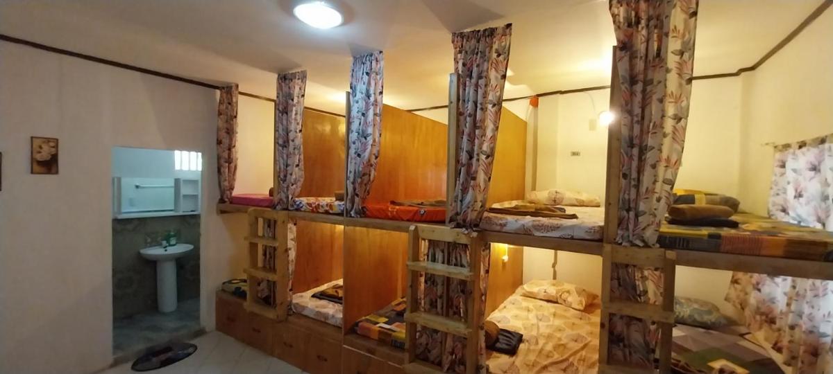 Single Bed in 10-Bed Dormitory Room photo 3