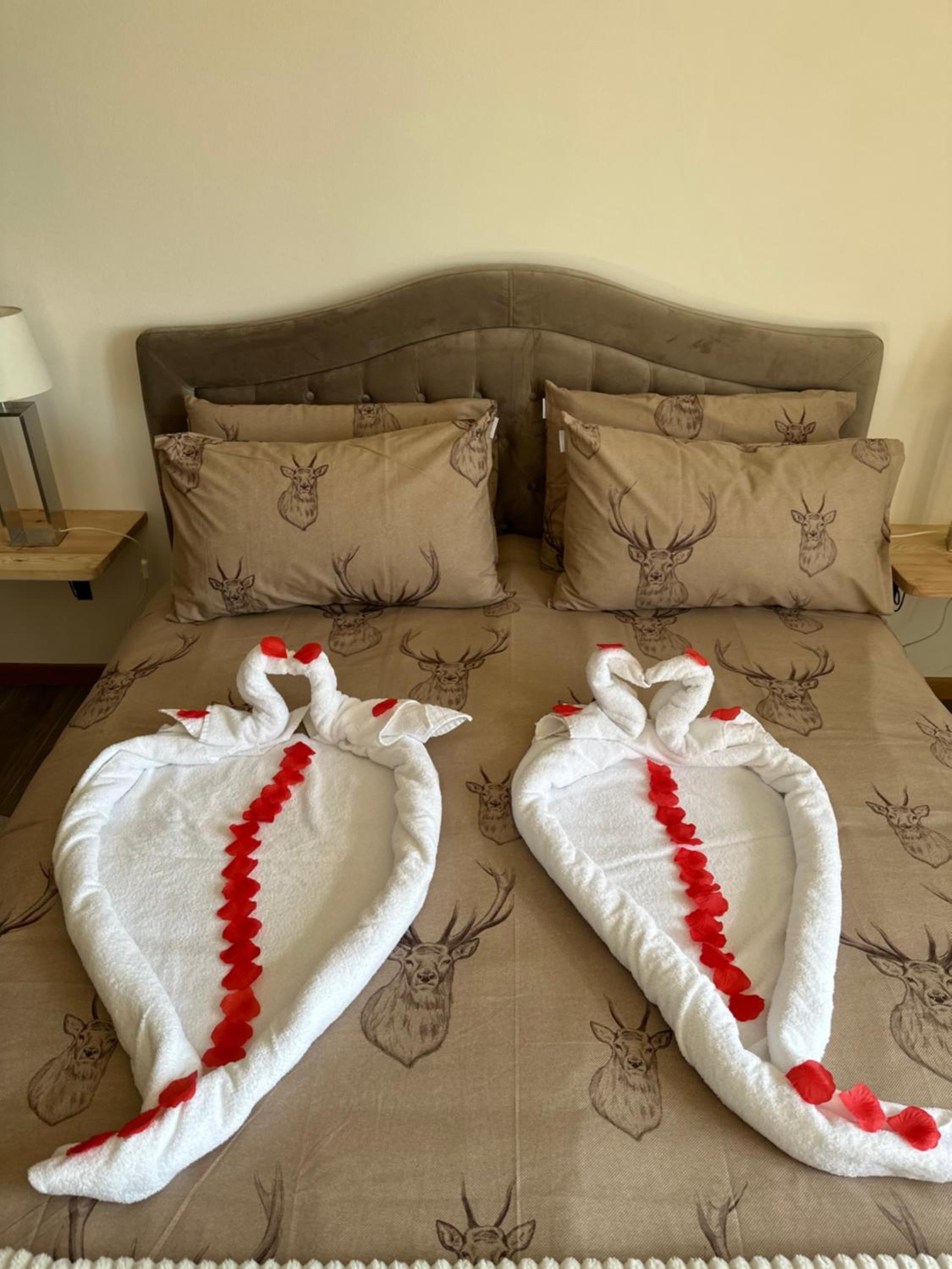Queen Suite with Spa Bath photo 2