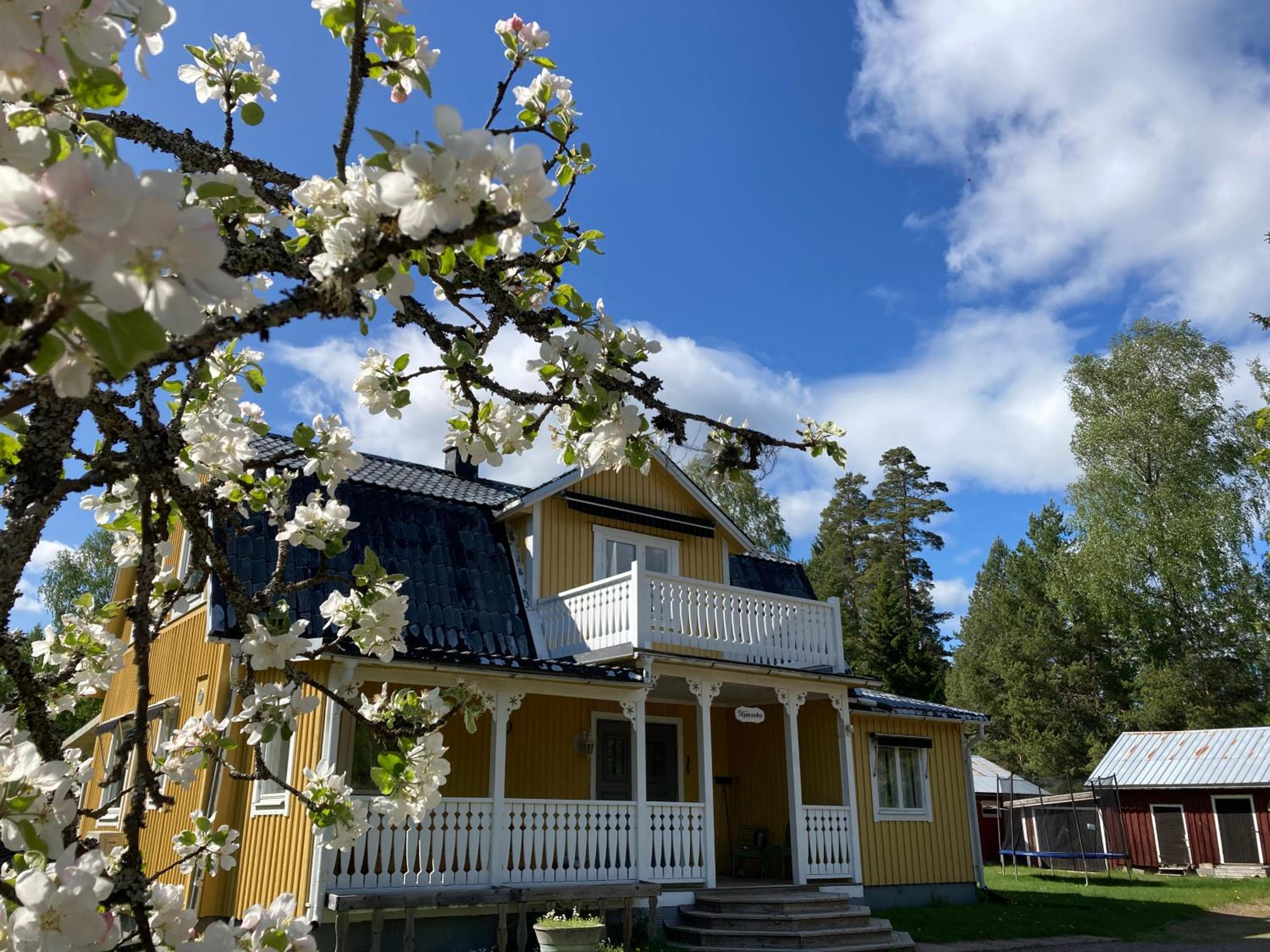 Three-Bedroom House photo 2