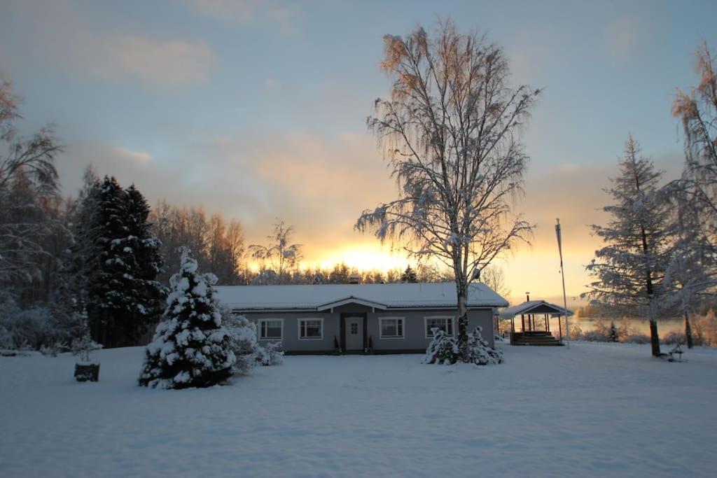 Superior Villa photo 2