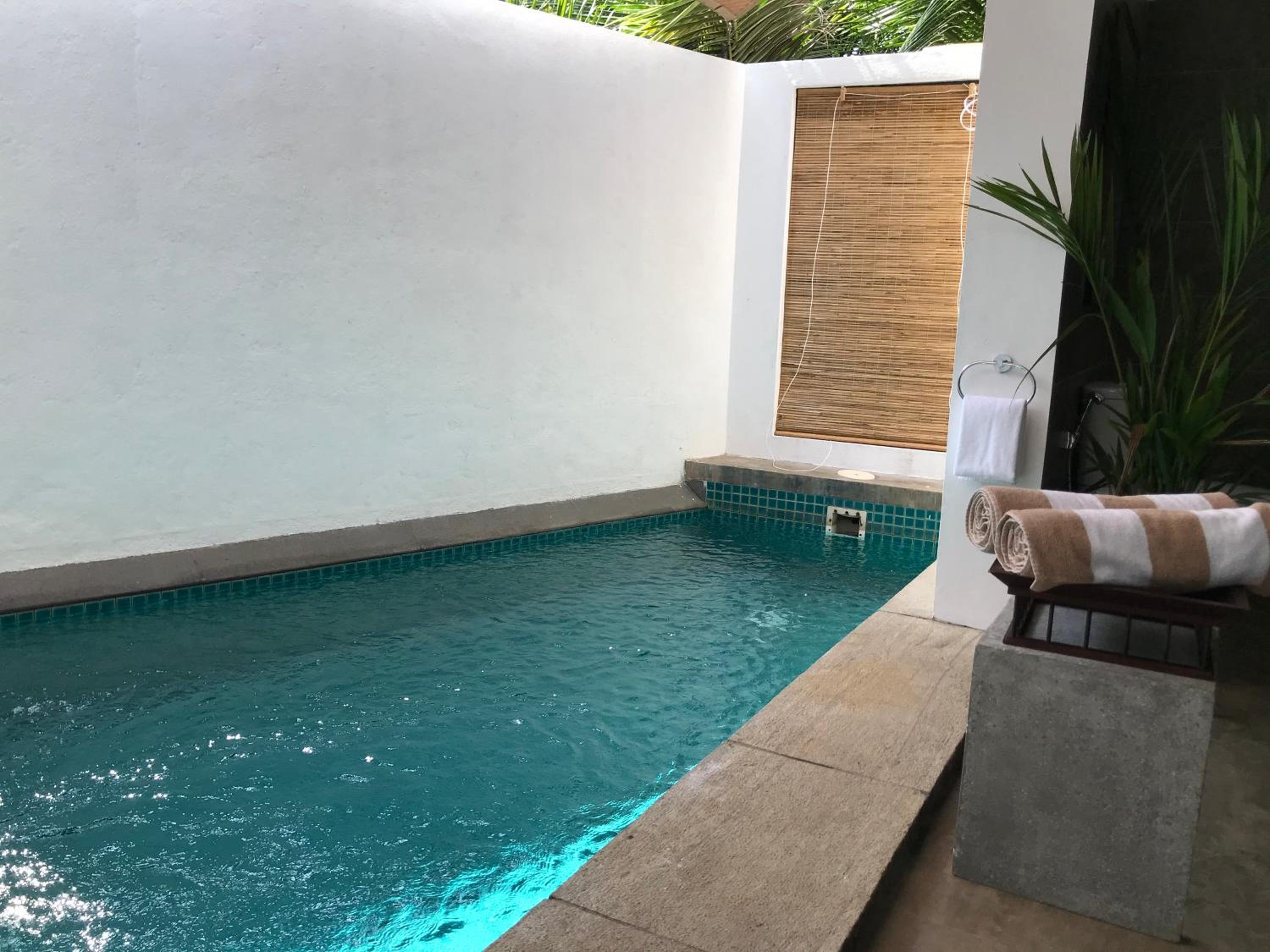 Premier Suite with Plunge Pool - Photo 8