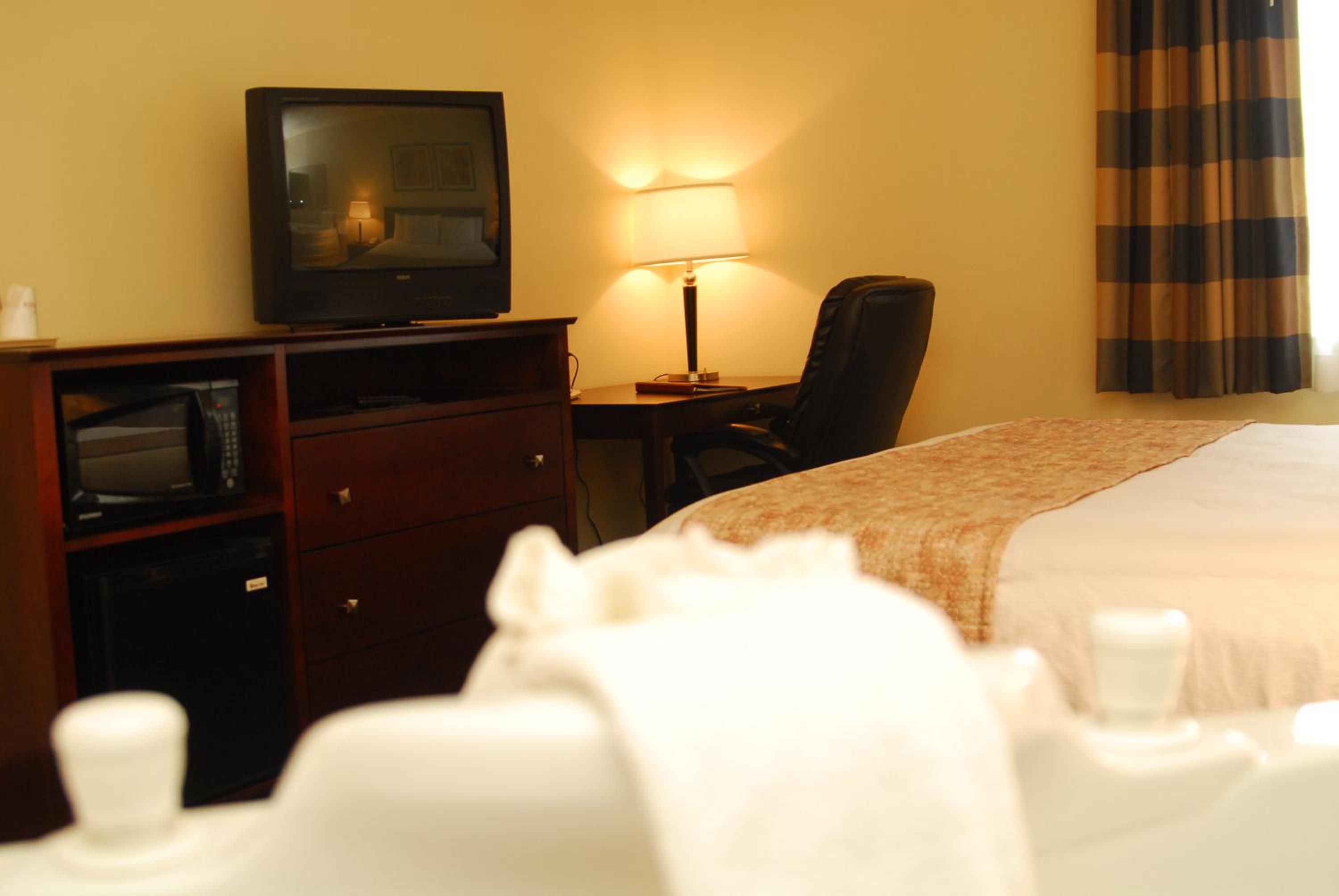 King Room - Pet Friendly - Photo 2