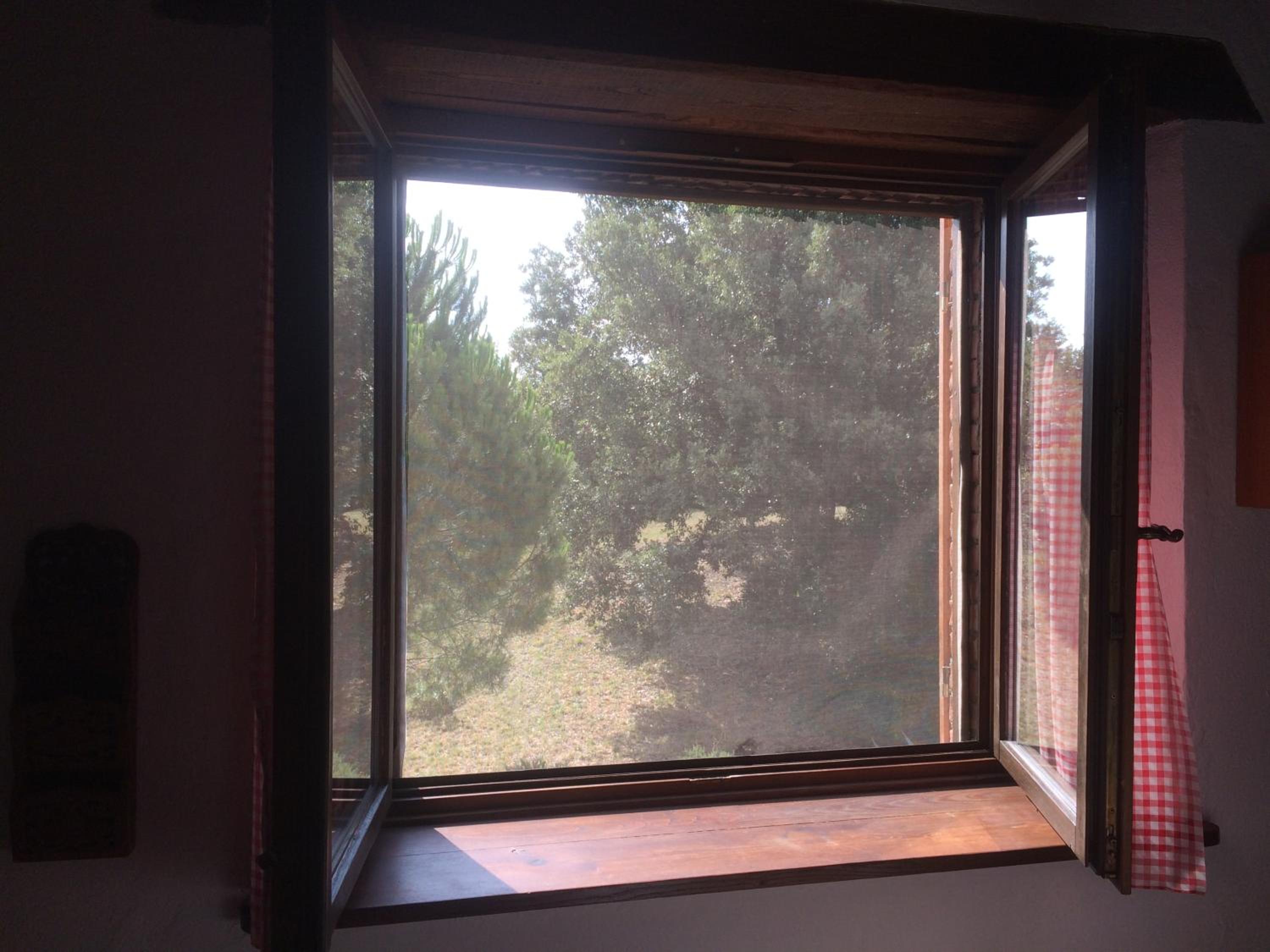 Apartment With Garden View photo 3