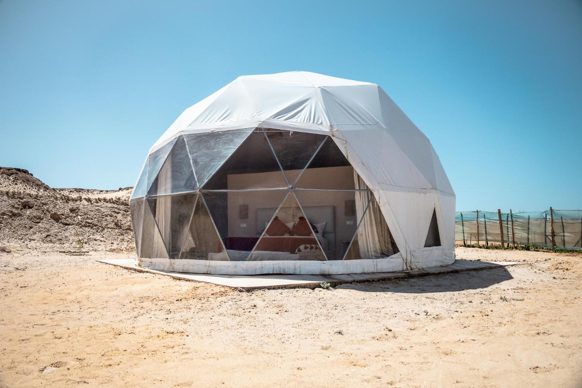 Dome - Photo 6