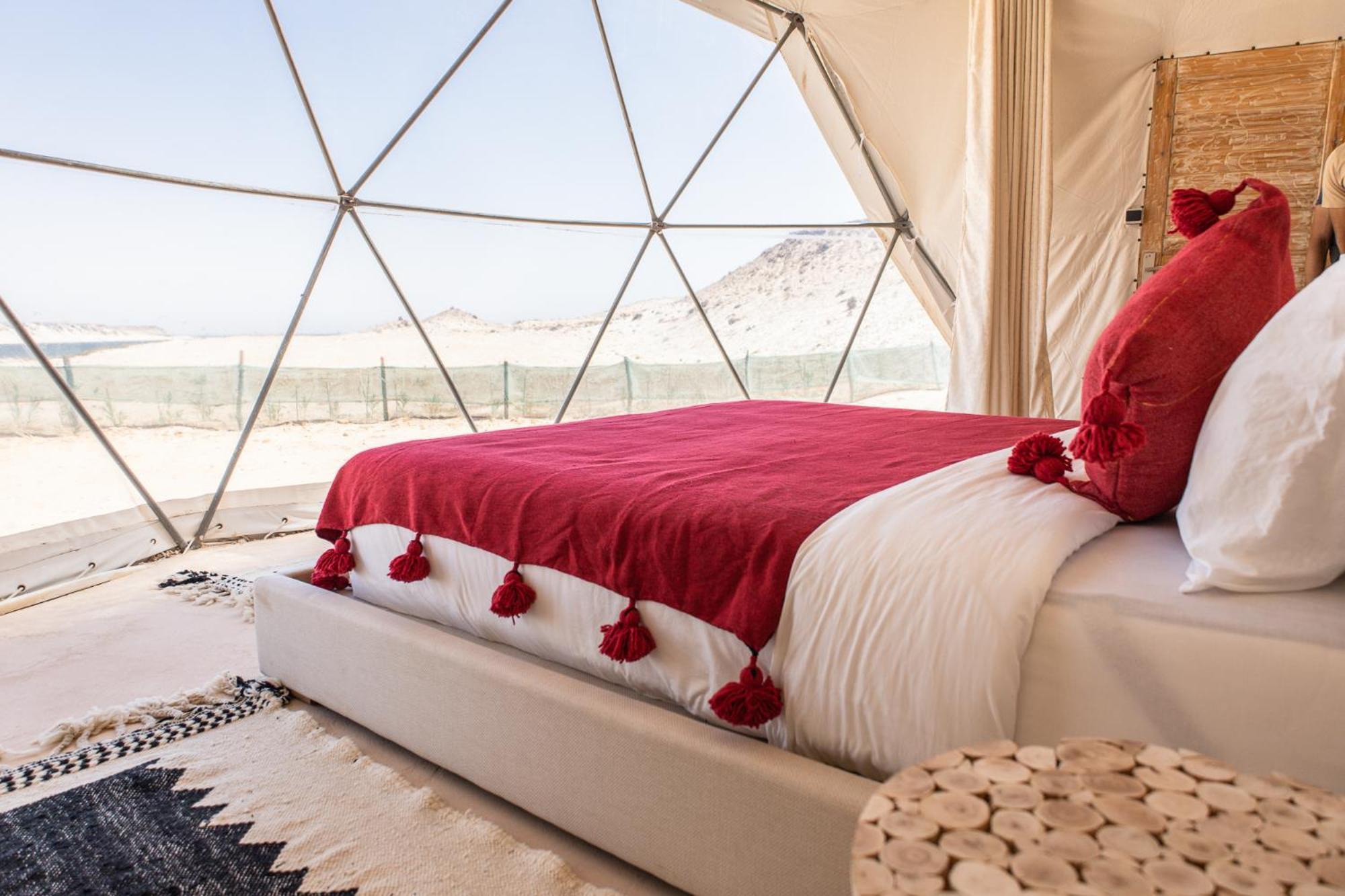 Dome - Photo 5