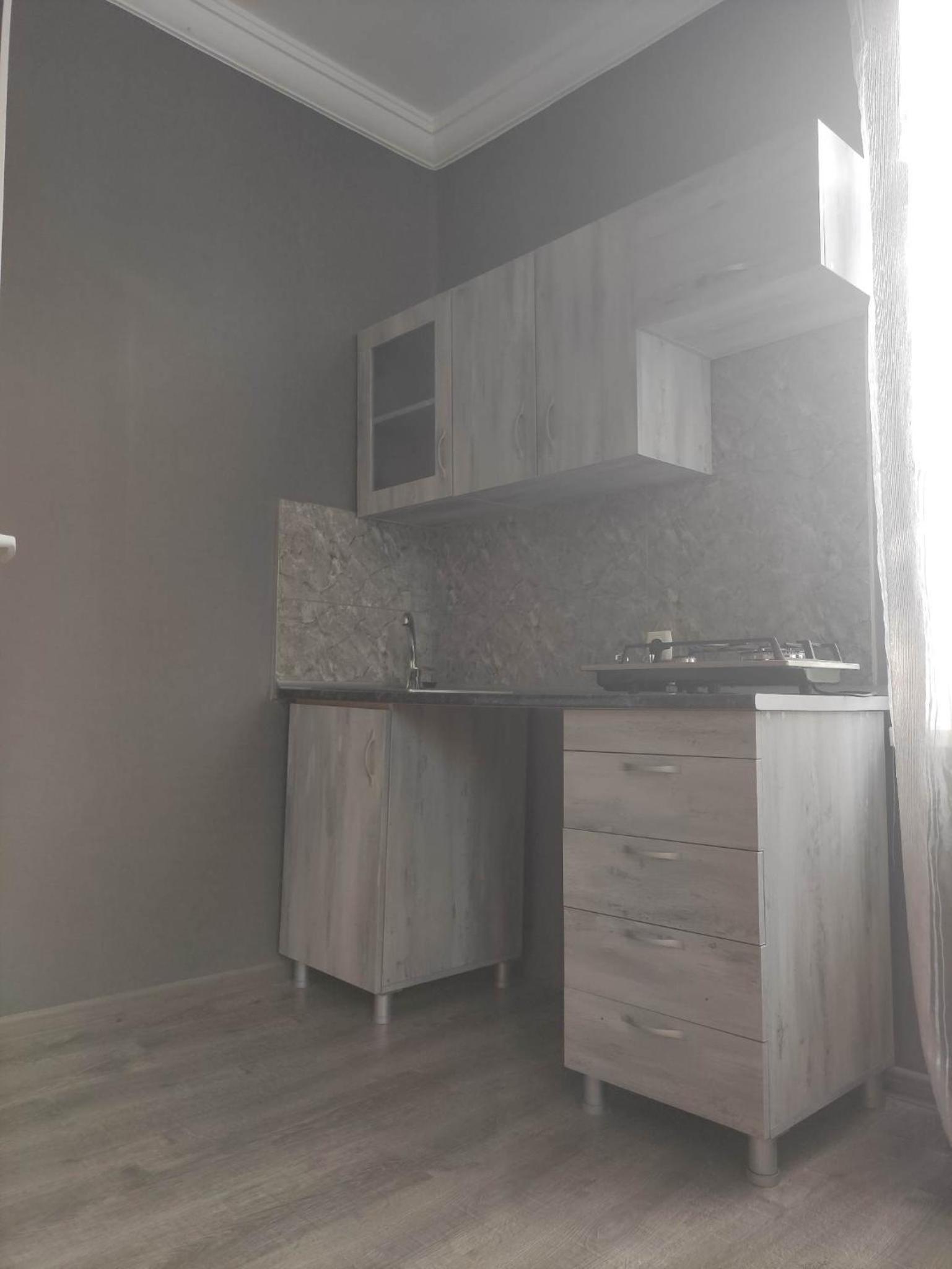 One-Bedroom Apartment photo 3