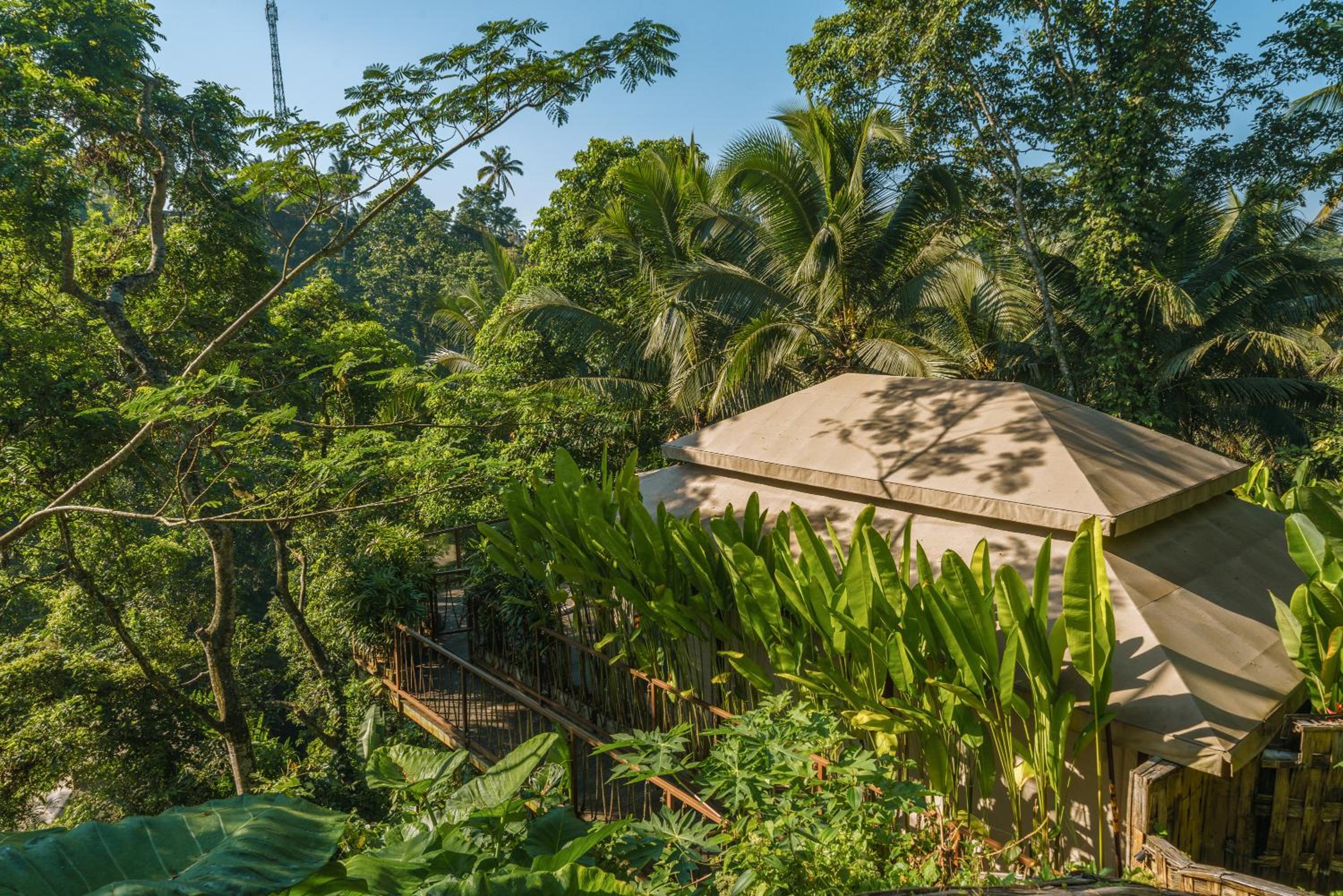 Jungle Jacuzzi Lodge - Adults Only - Photo 5
