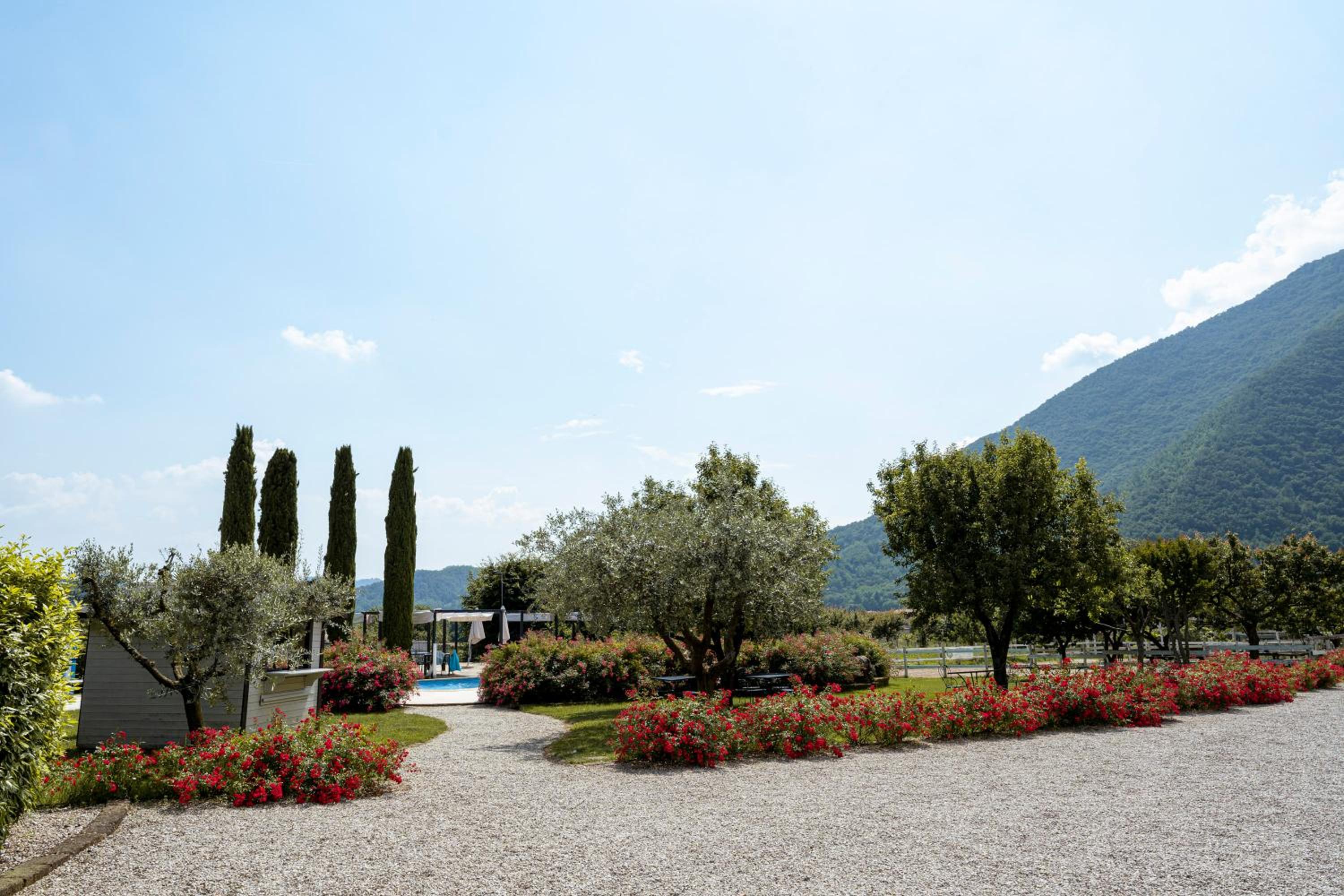 Double Room with Pool View