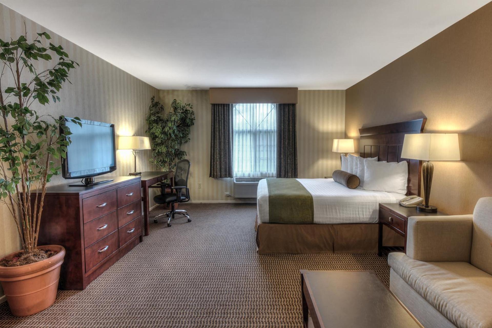 King Suite with Sofa Bed - Non-Smoking - Photo 7