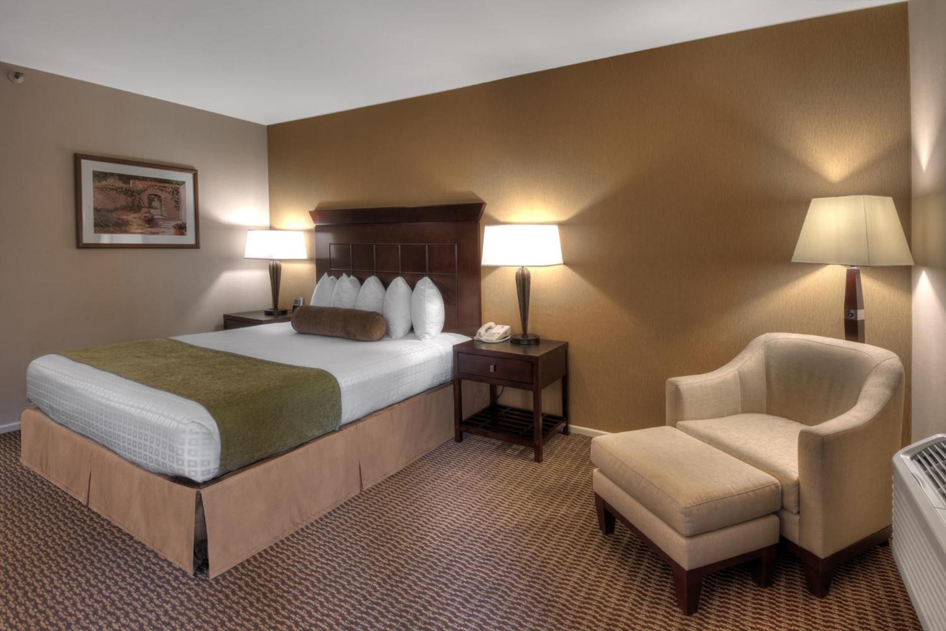 Deluxe King Suite - Non-Smoking - Photo 5