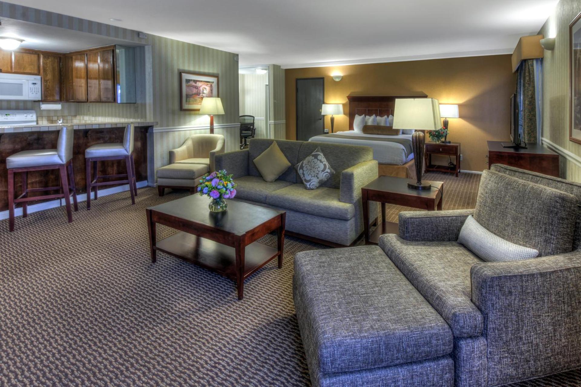 King Suite with Sofa Bed - Non-Smoking - Photo 8