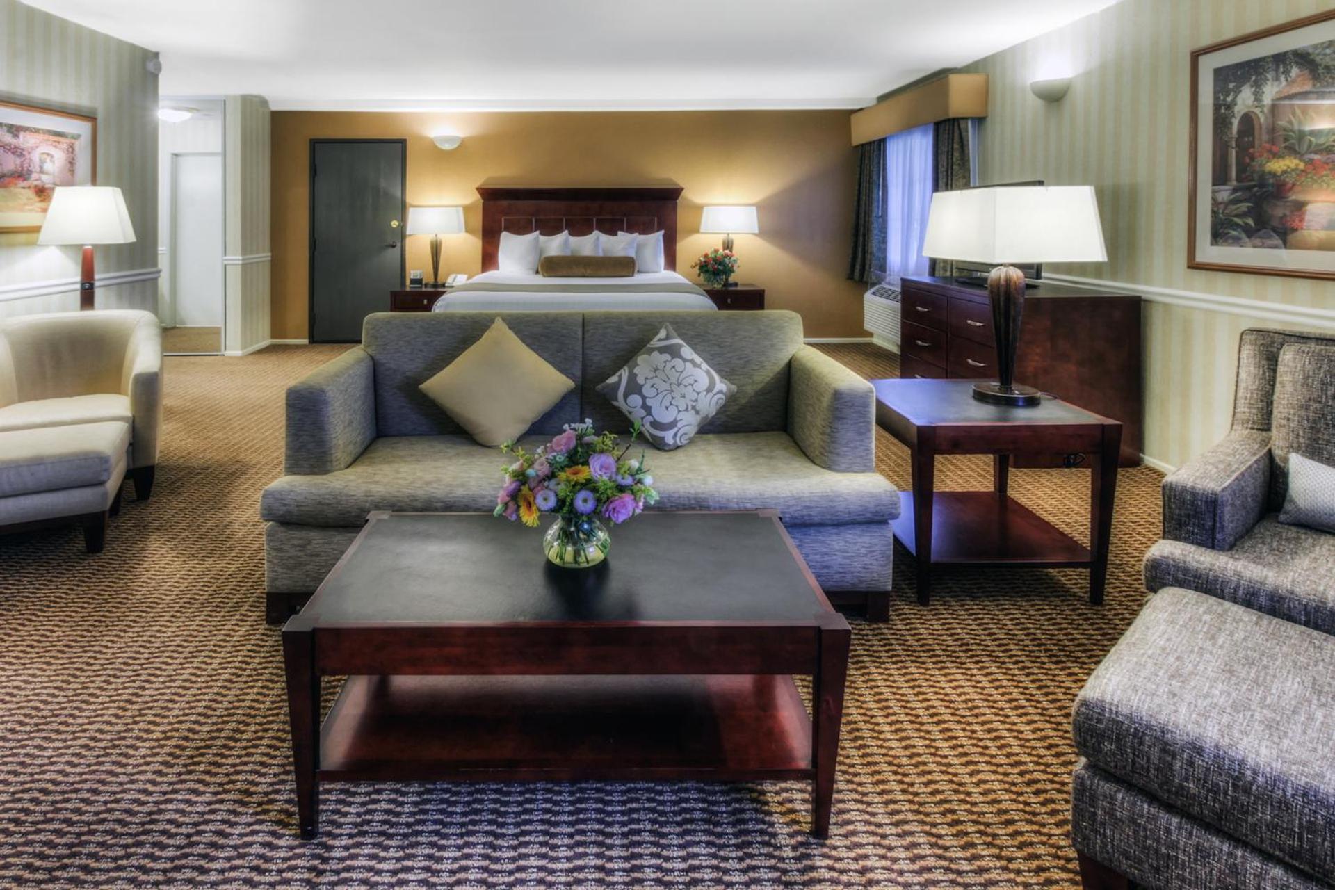 King Suite with Sofa Bed - Non-Smoking - Photo 16