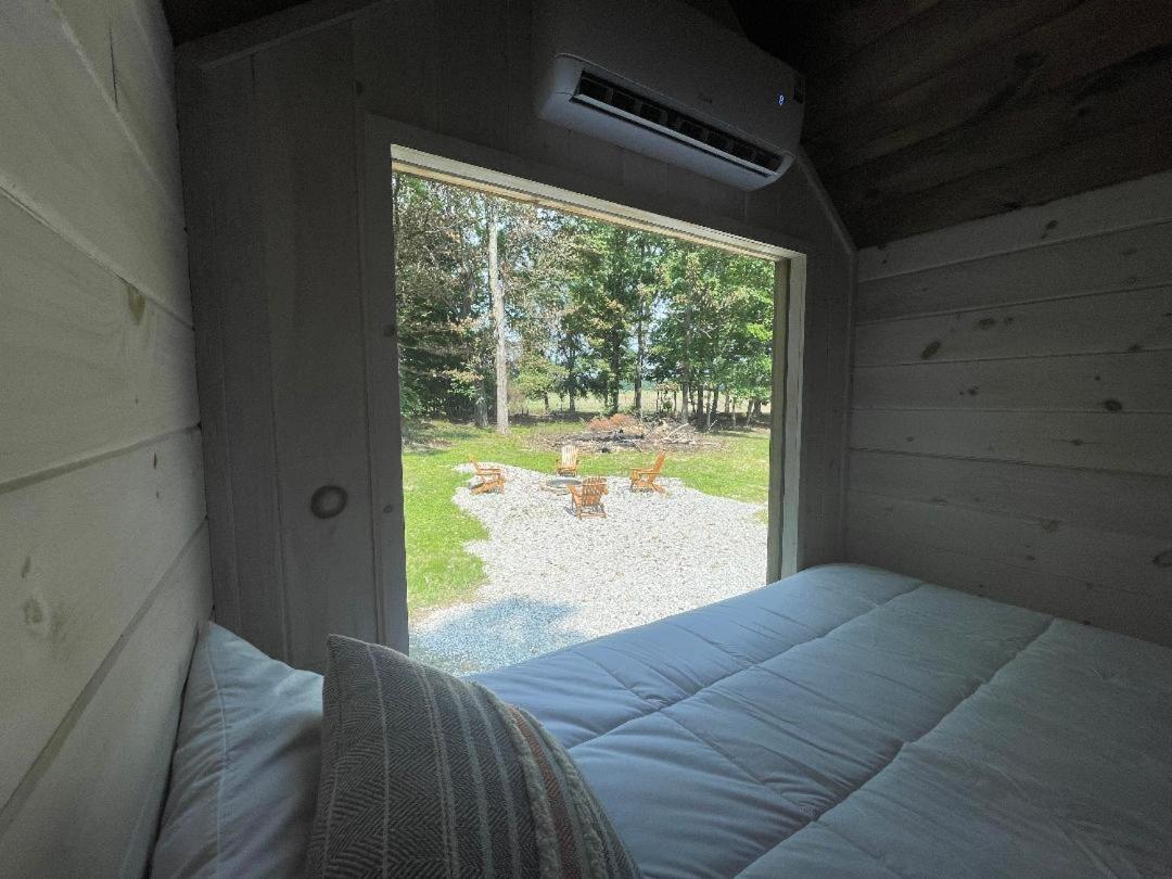 Large Single Room photo 1