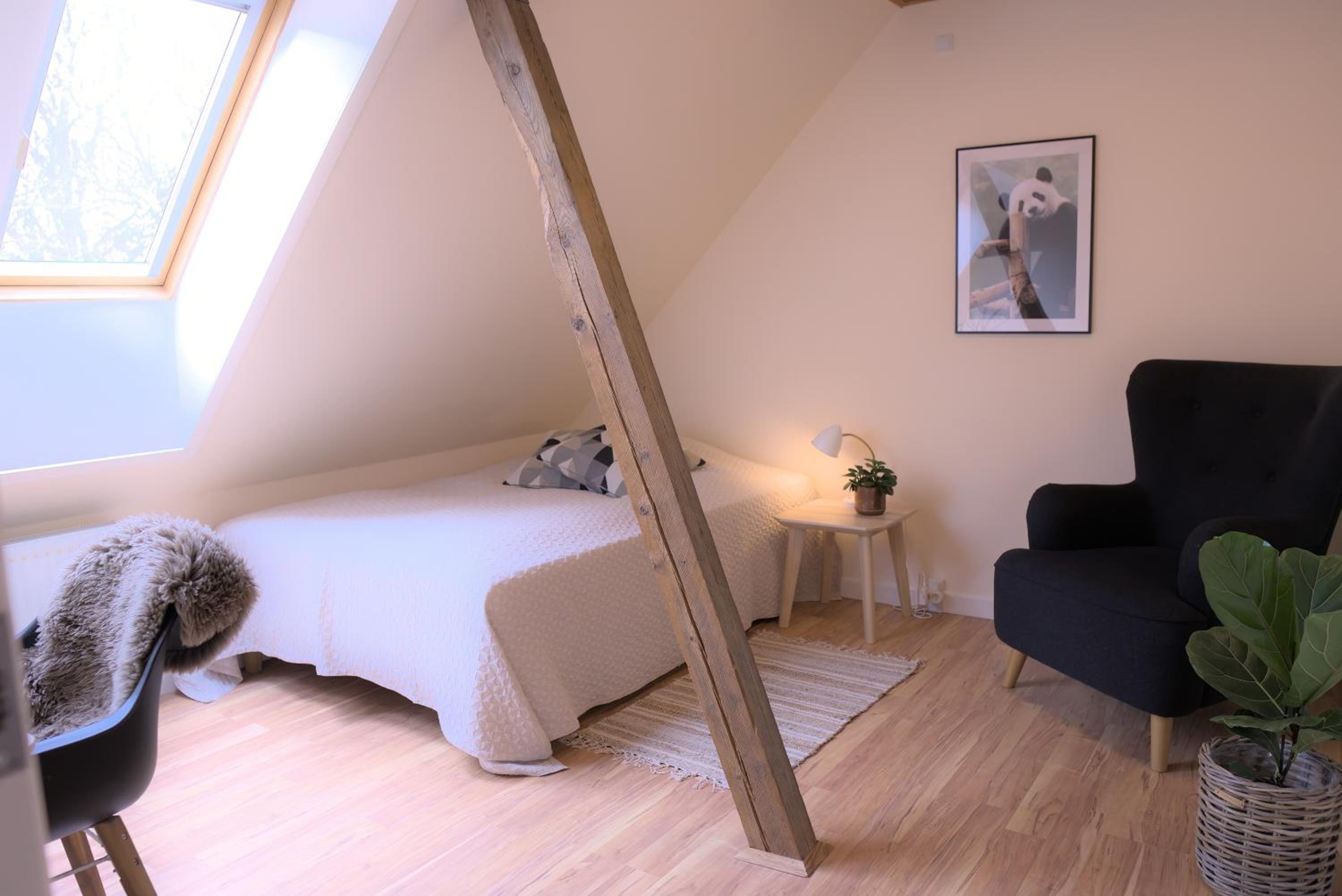 Single Room with Shared Bathroom photo 1