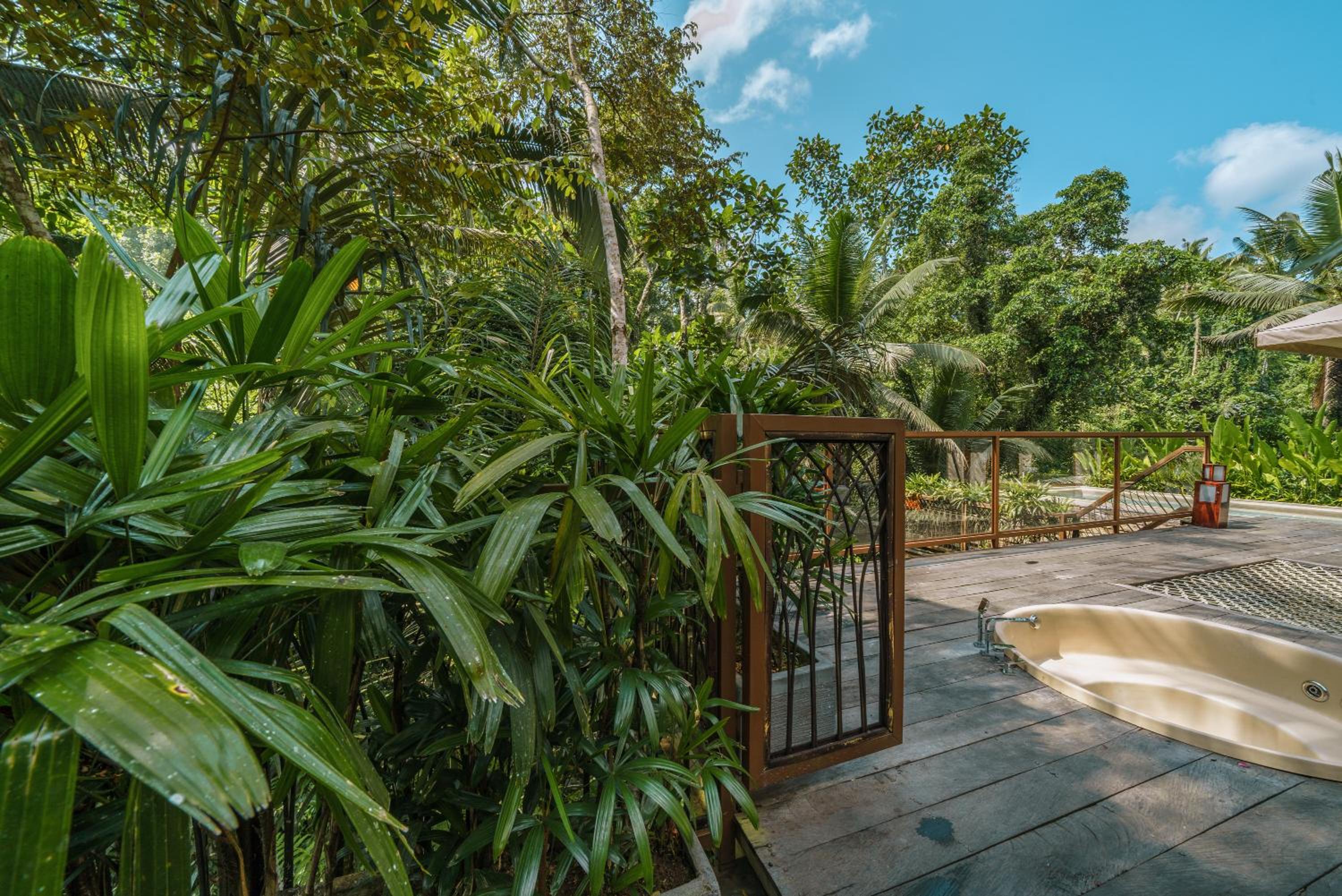 Jungle Infinity Pool Lodge - Adults Only - Photo 8