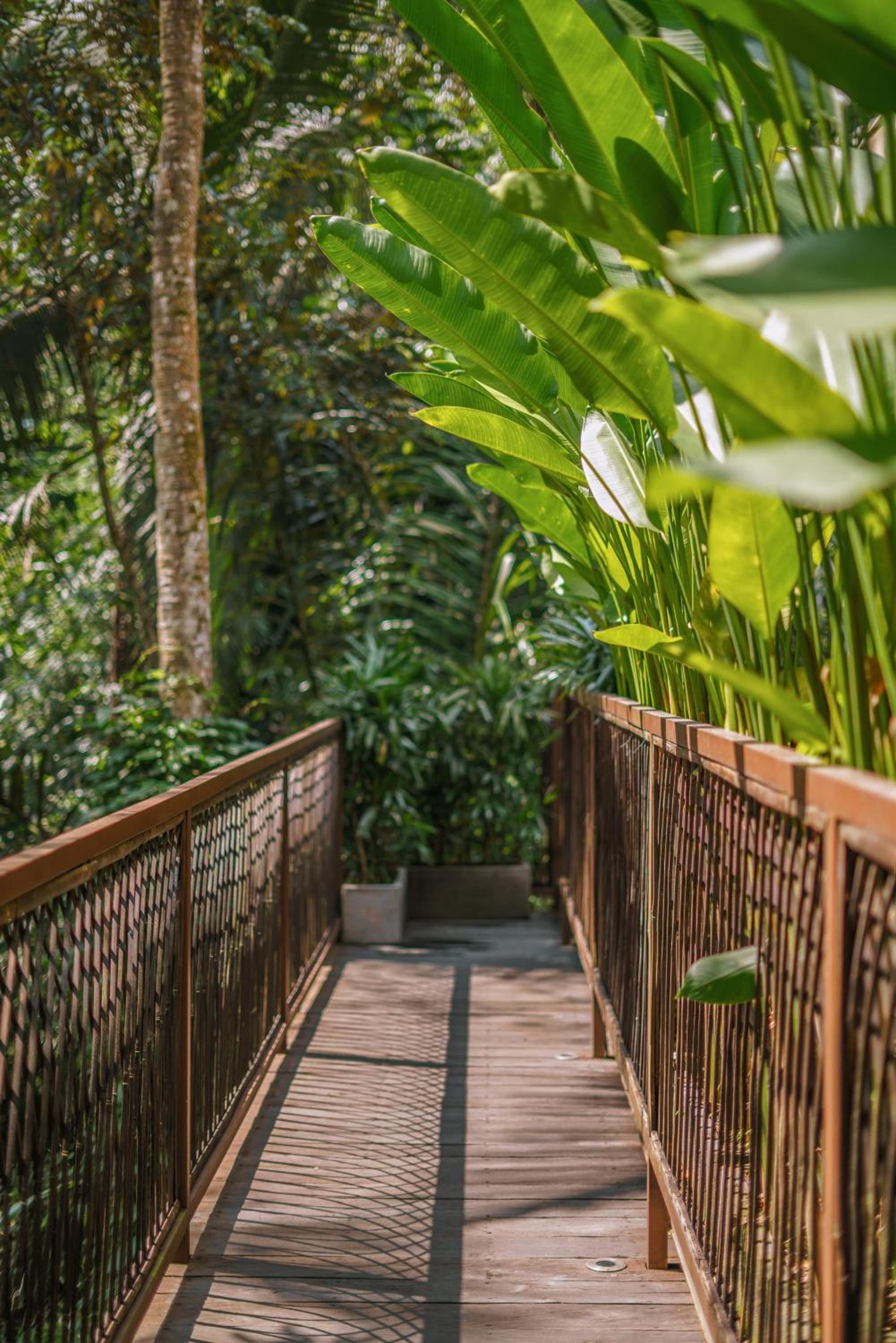 Jungle Infinity Pool Lodge - Adults Only - Photo 24