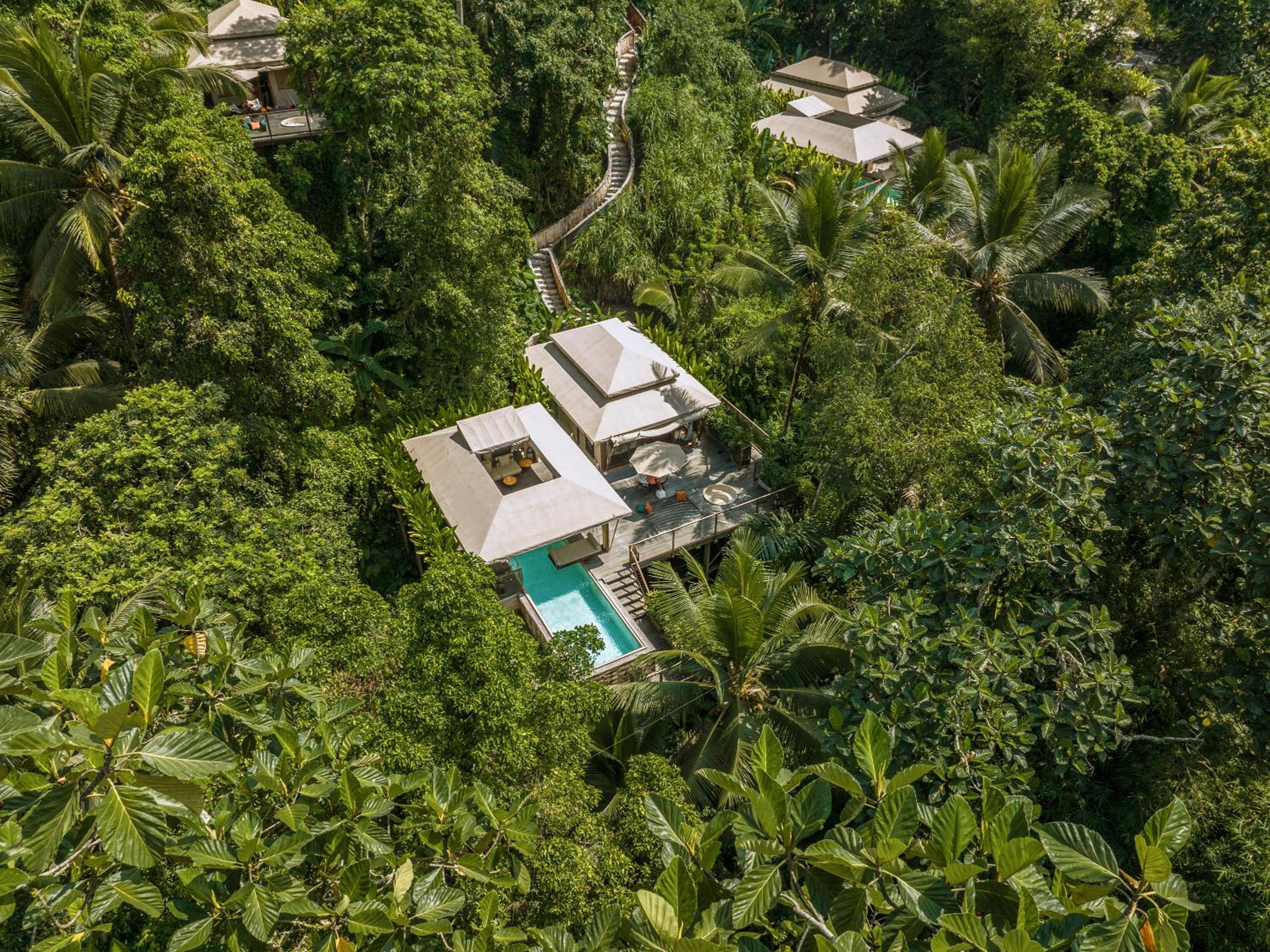 Jungle Infinity Pool Lodge - Adults Only - Photo 32
