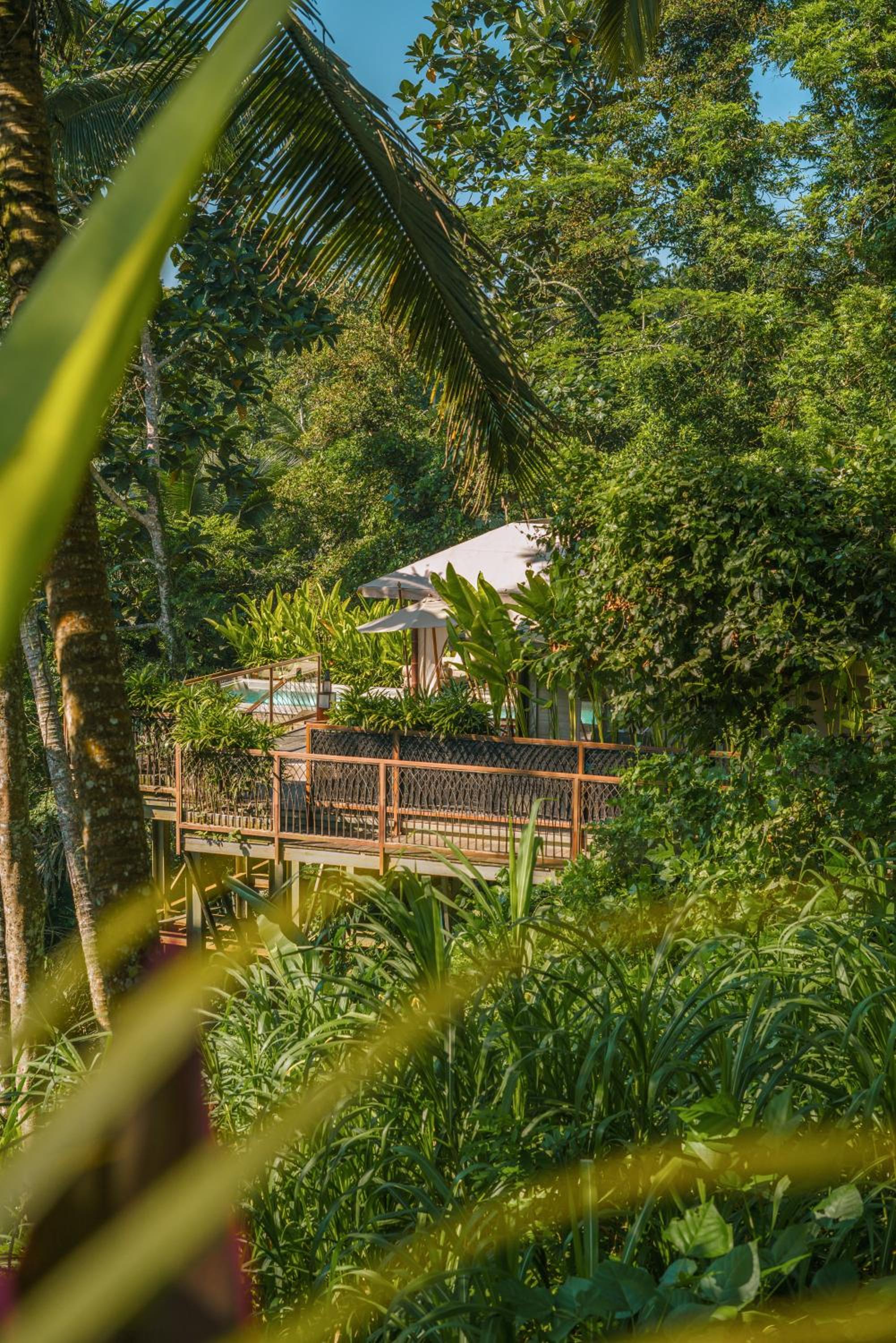 Jungle Infinity Pool Lodge - Adults Only - Photo 34
