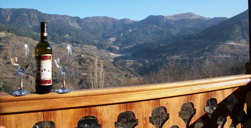 Apartment with Mountain View and Fireplace - Photo 24