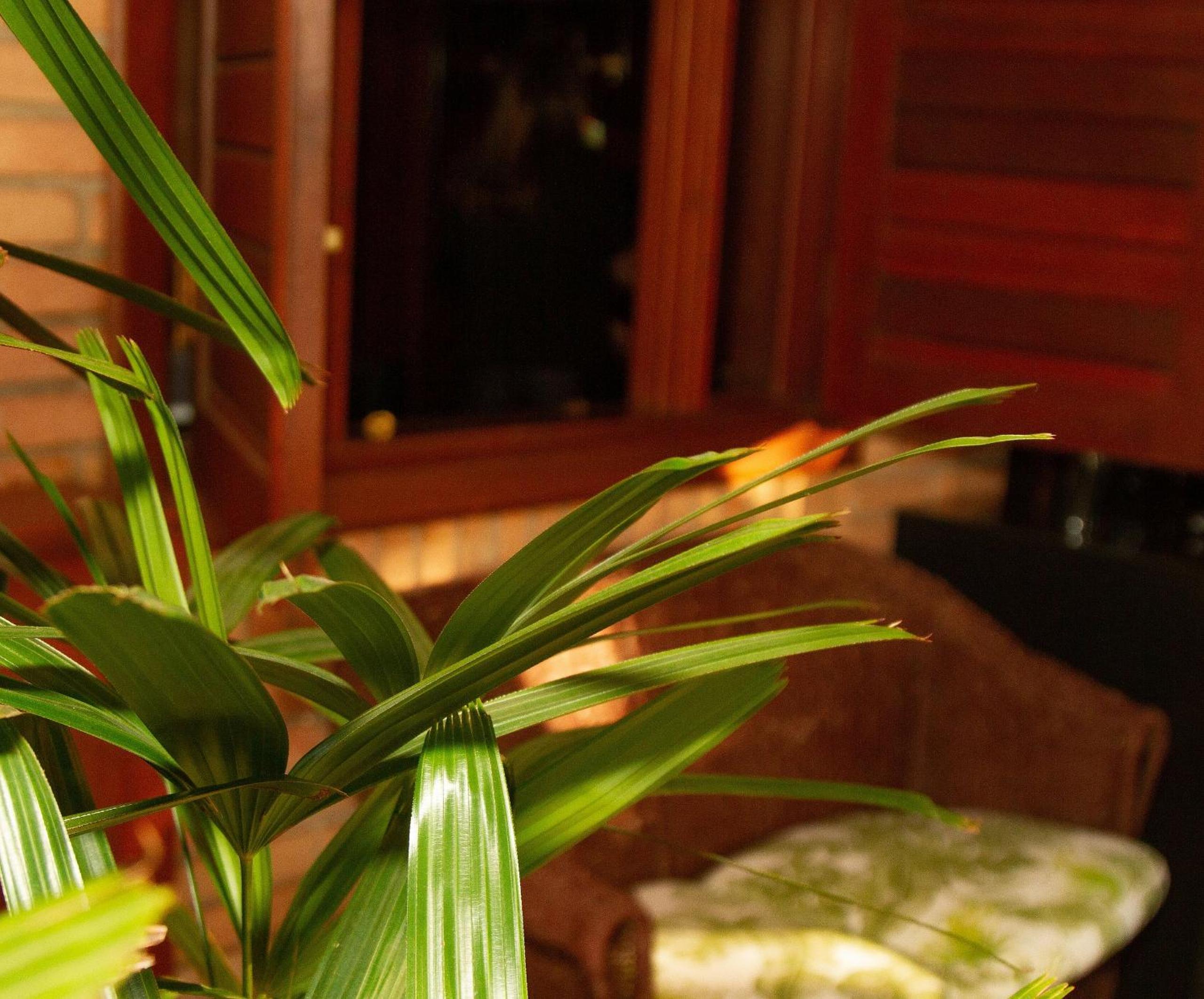 Standard Apartment - Photo 34