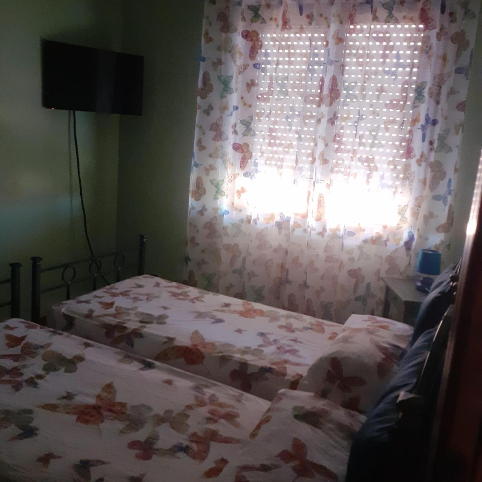 Twin Room photo 1