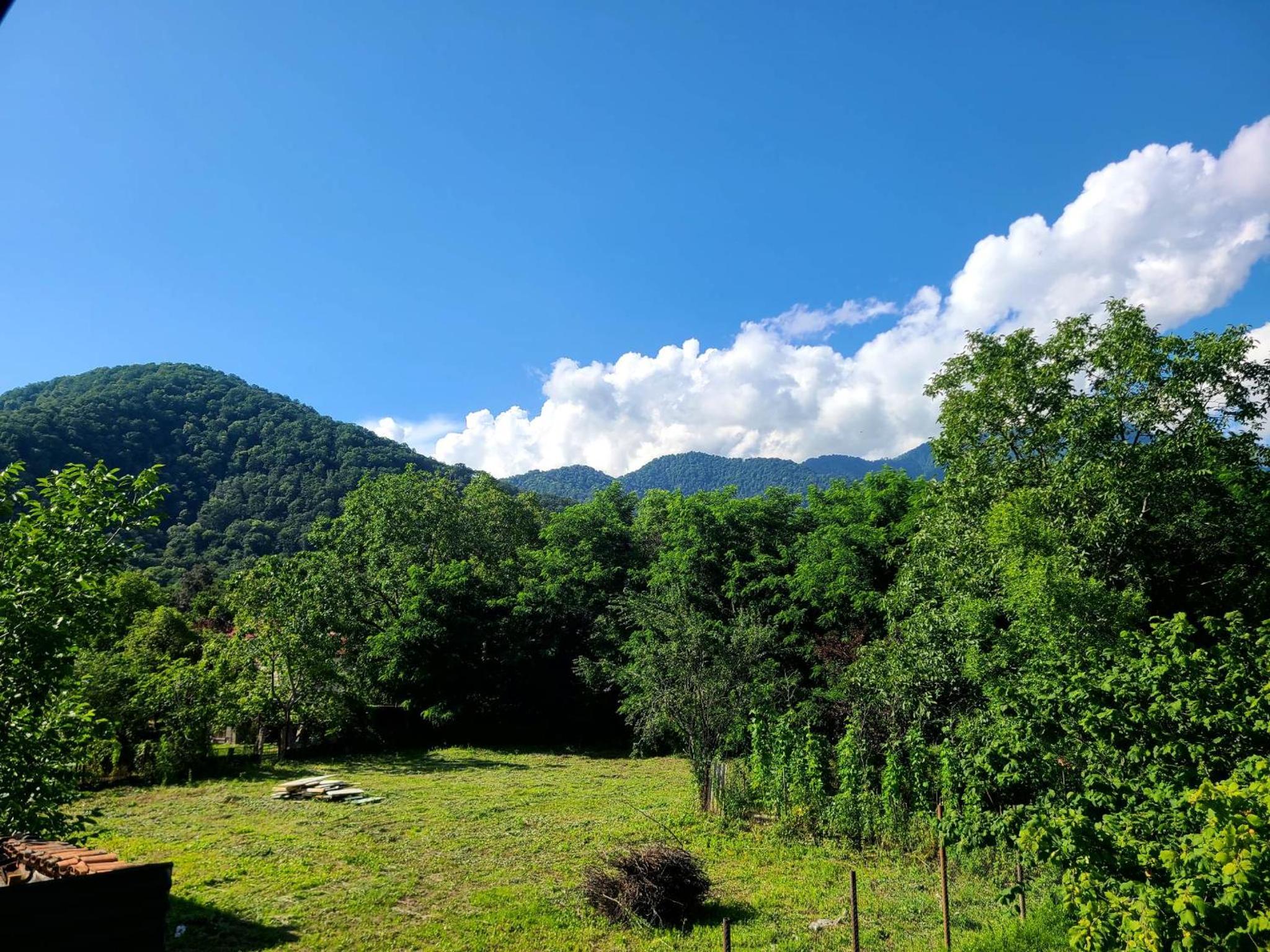 Apartment with Mountain View photo 3