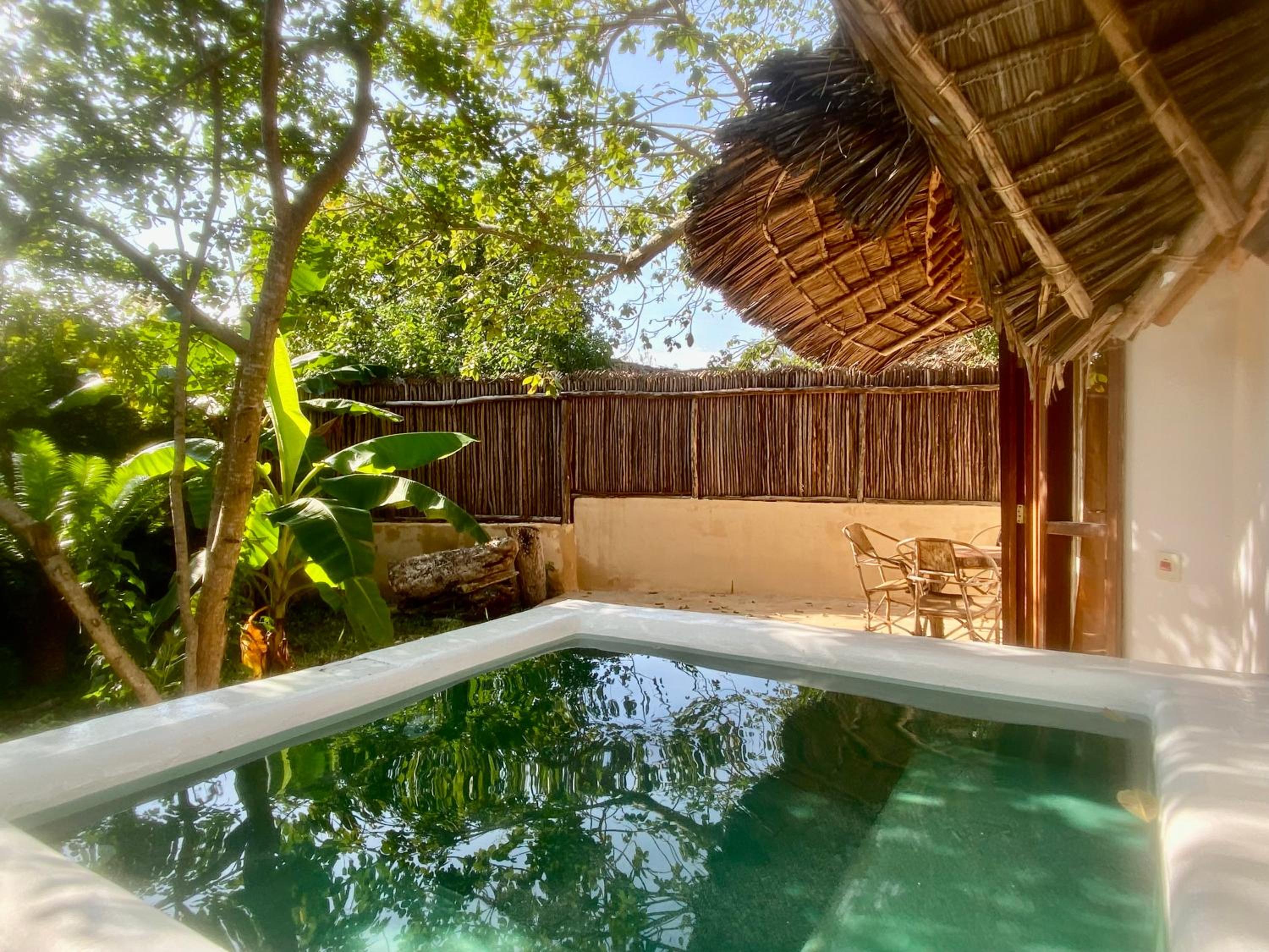 Deluxe Bungalow photo 2