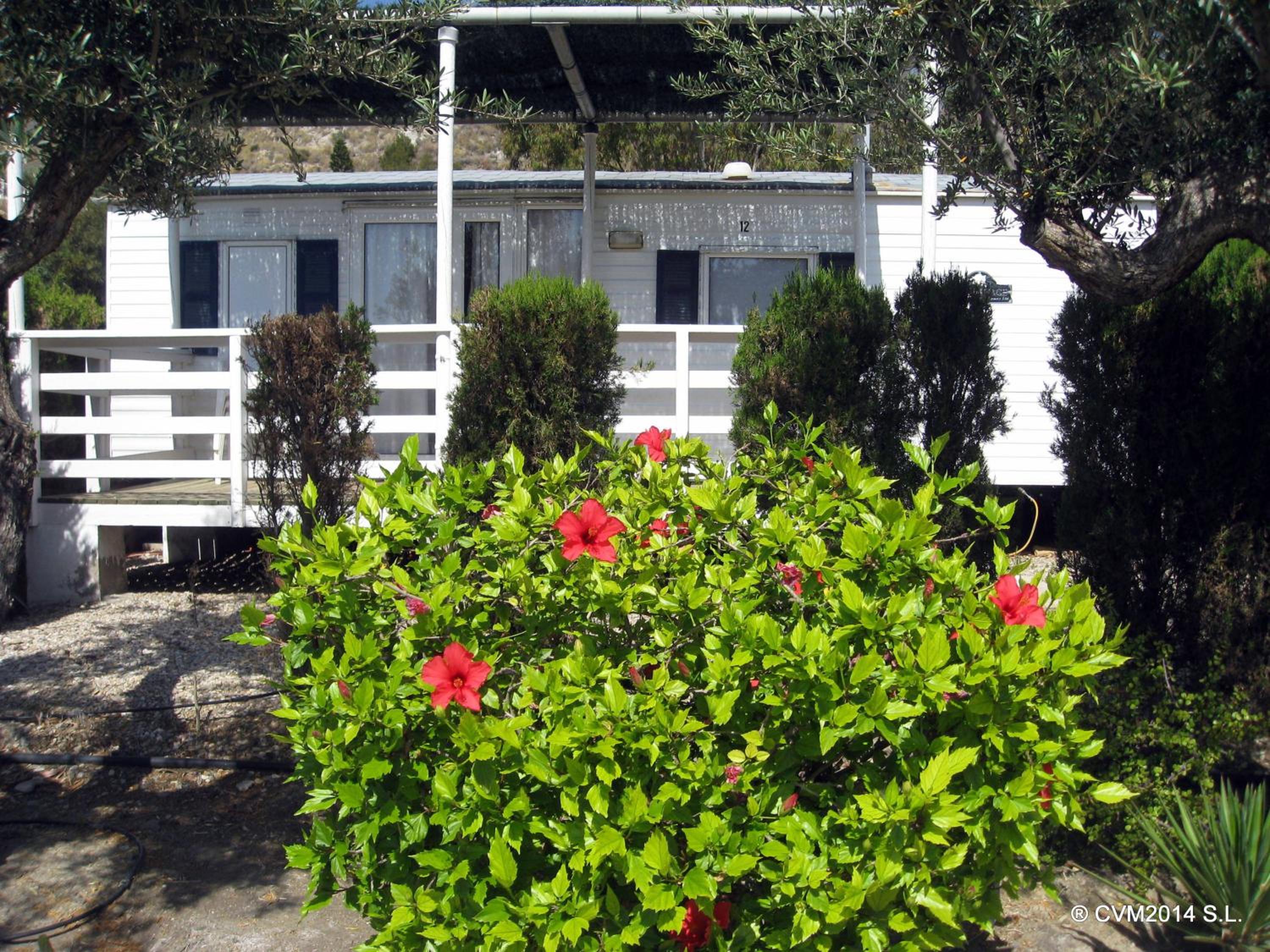 Mobile Home photo 3