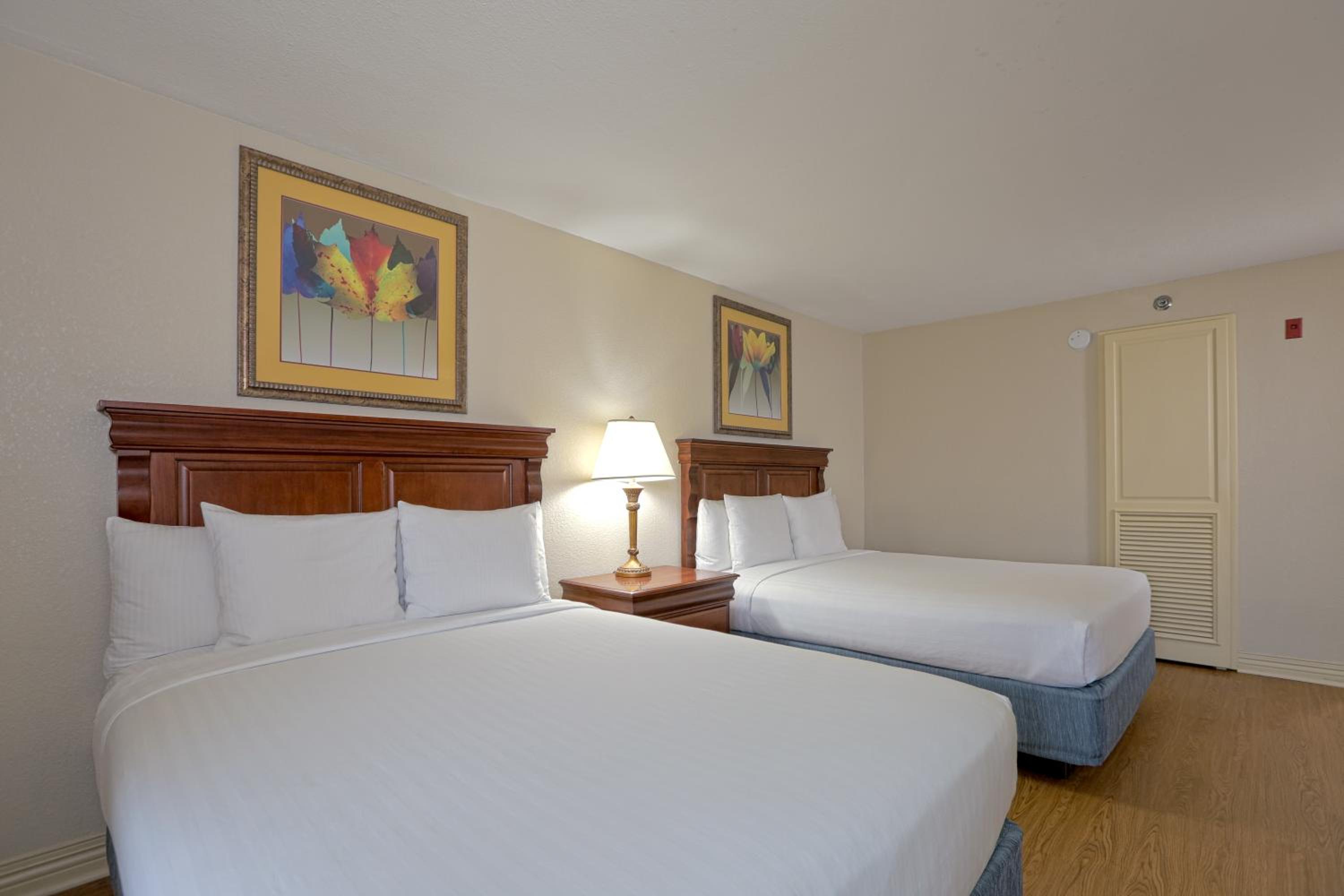 Deluxe Queen - Hotel - Photo 5