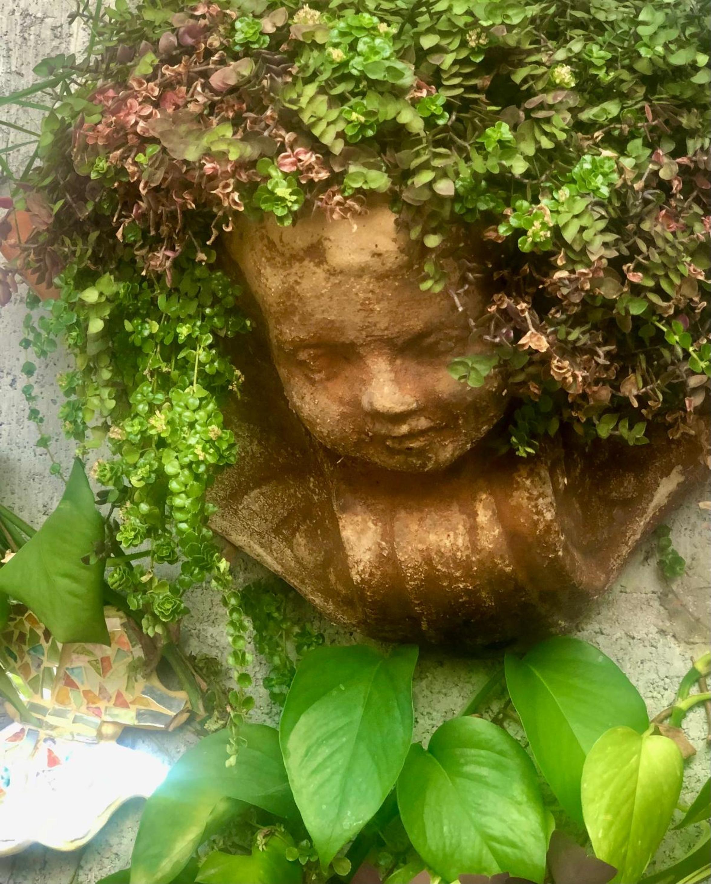 Jungle Hideaway - Photo 41