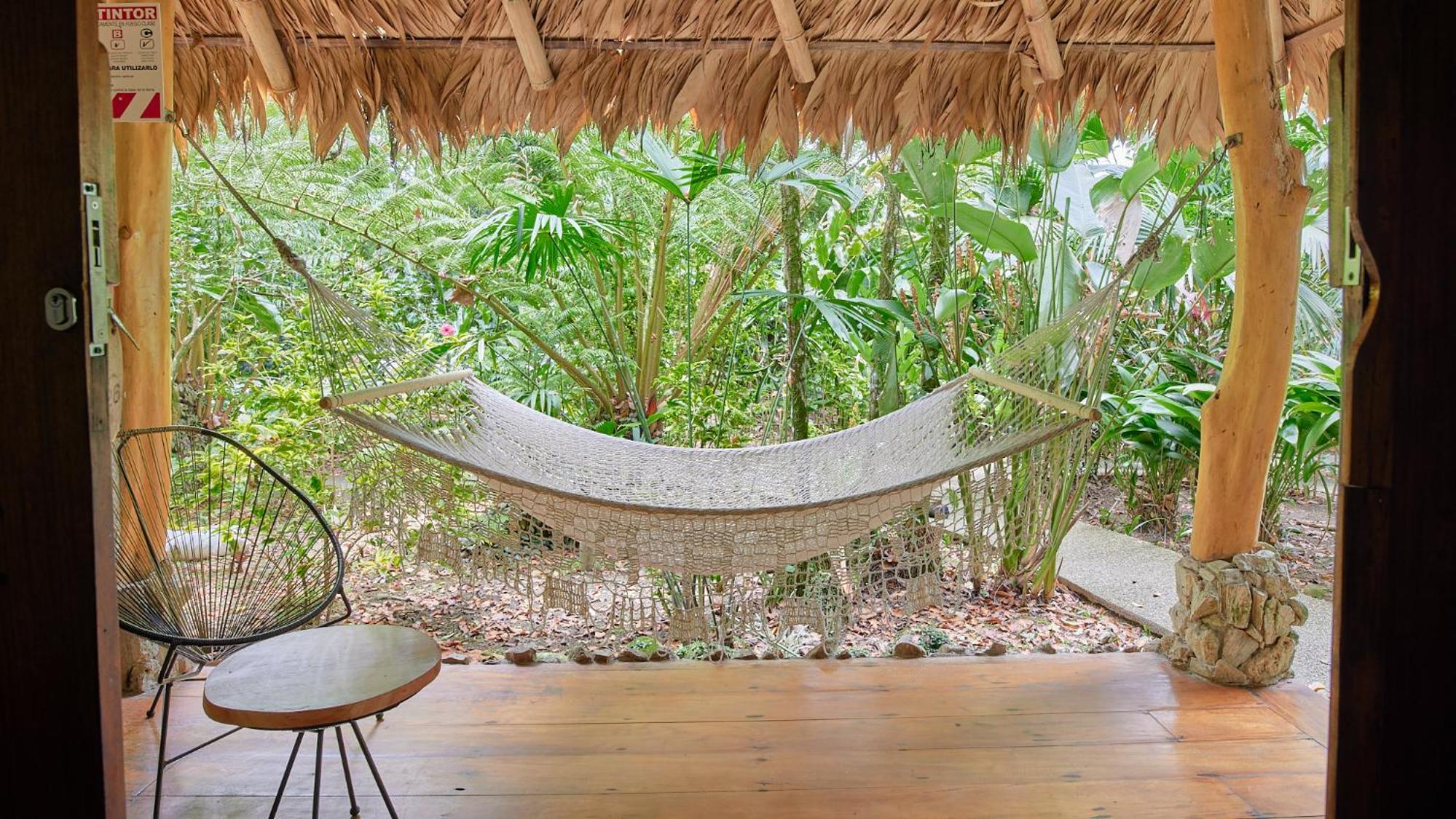 Superior King Double Room with Jungle View - Photo 4
