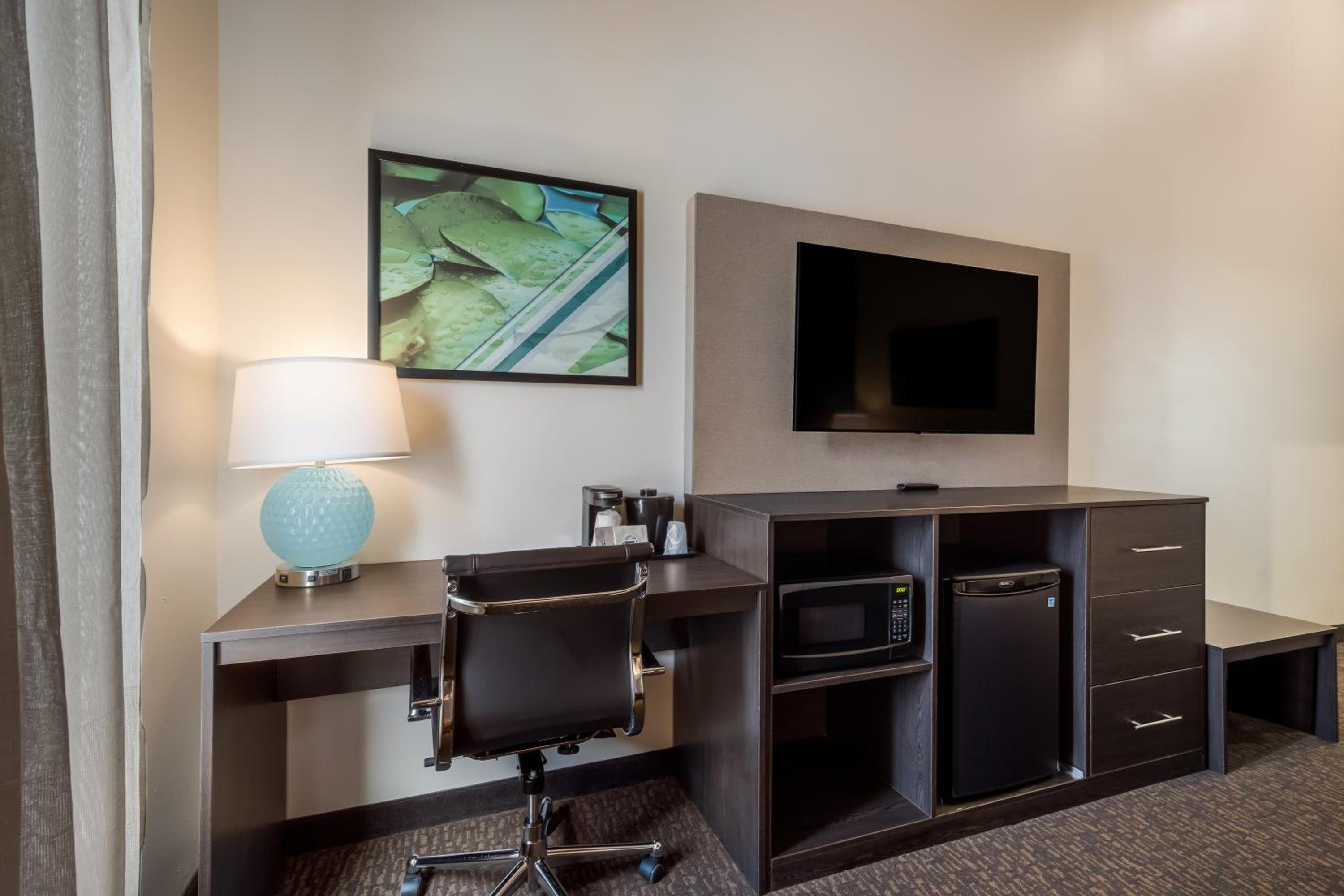 King Room with Mobility/Hearing Impaired Access and Bathtub with Grab Bars, Non-Smoking - Photo 5