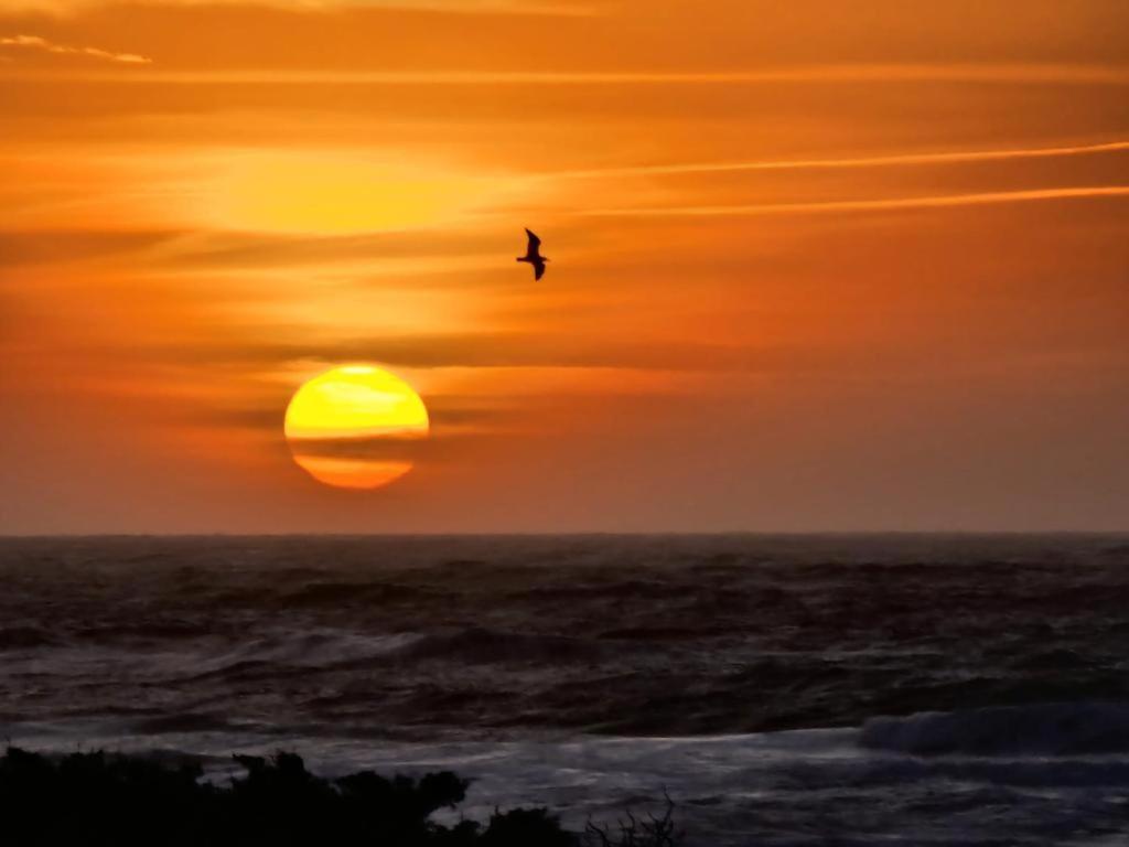 Two-Bedroom Apartment with Garden View photo 2