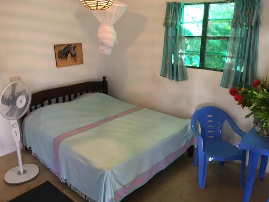 Standard Twin Room with Shared Bathroom photo 3