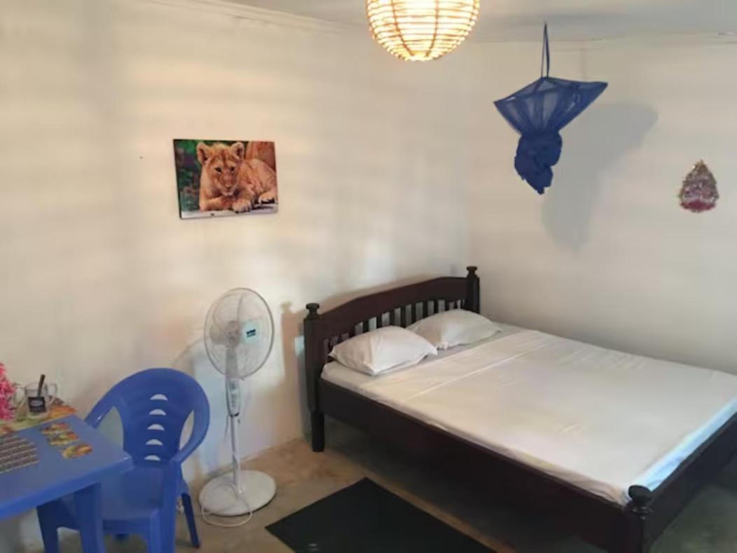 Standard Twin Room with Shared Bathroom photo 2