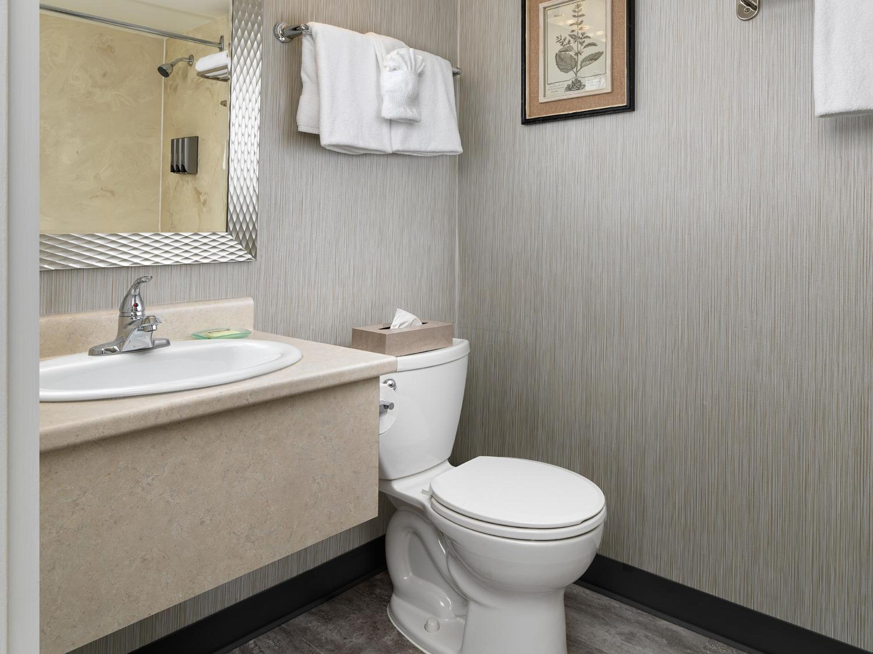 Family Suite photo 3