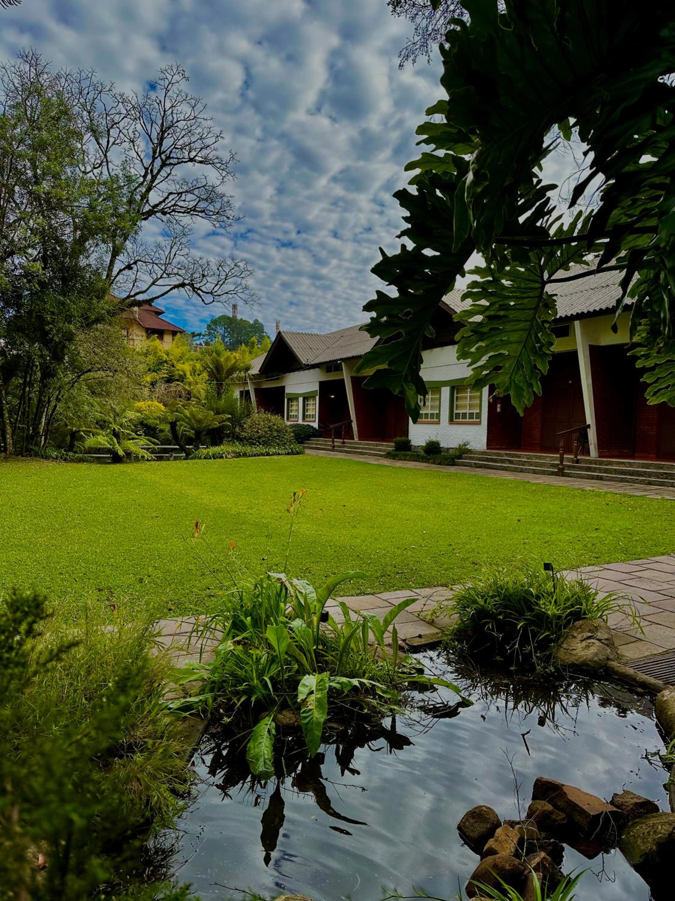 Suite - Photo 4