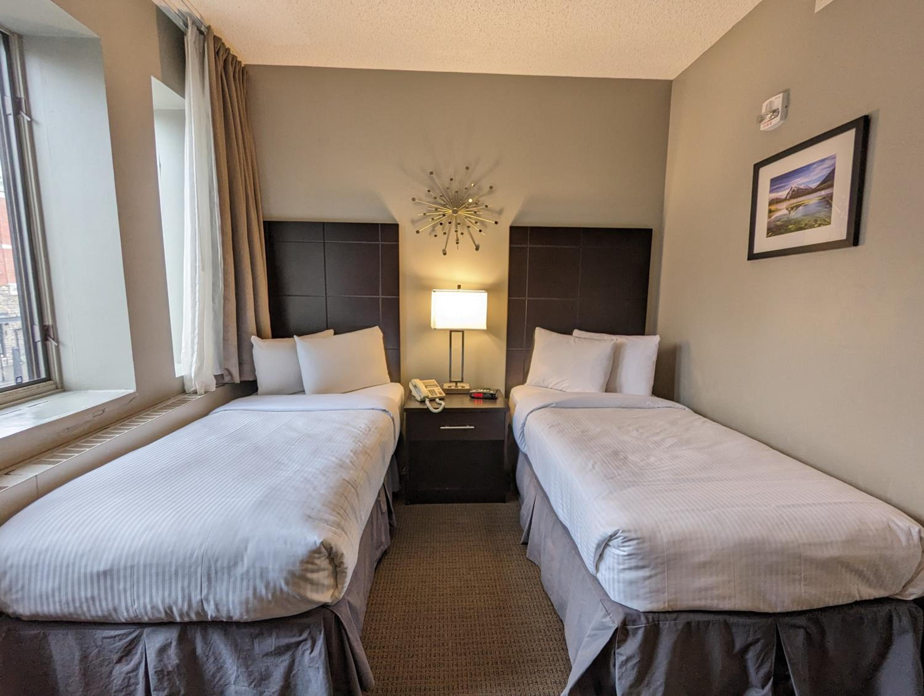 Twin Room photo 2