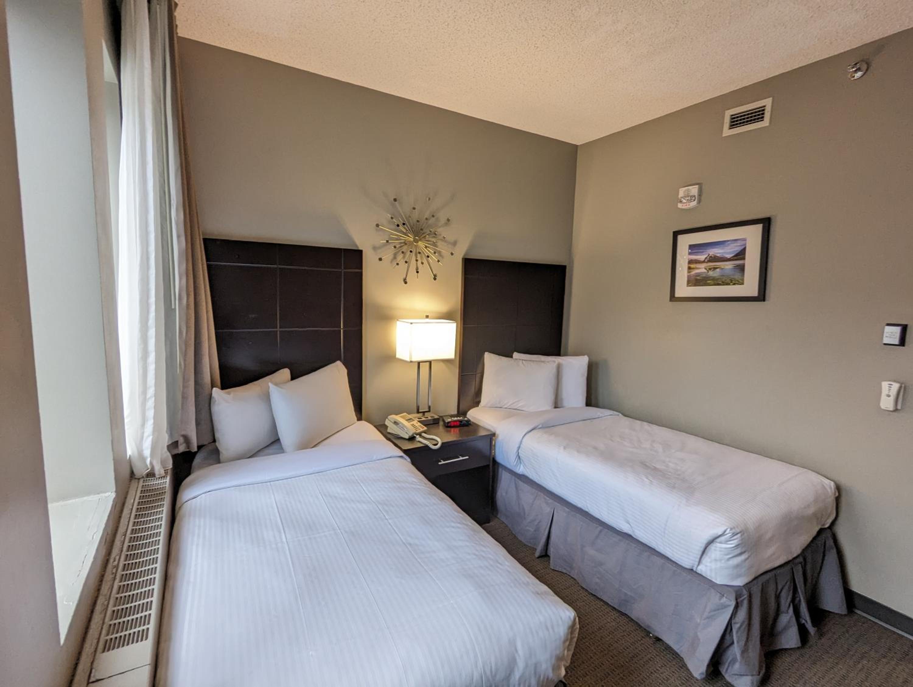 Twin Room photo 3
