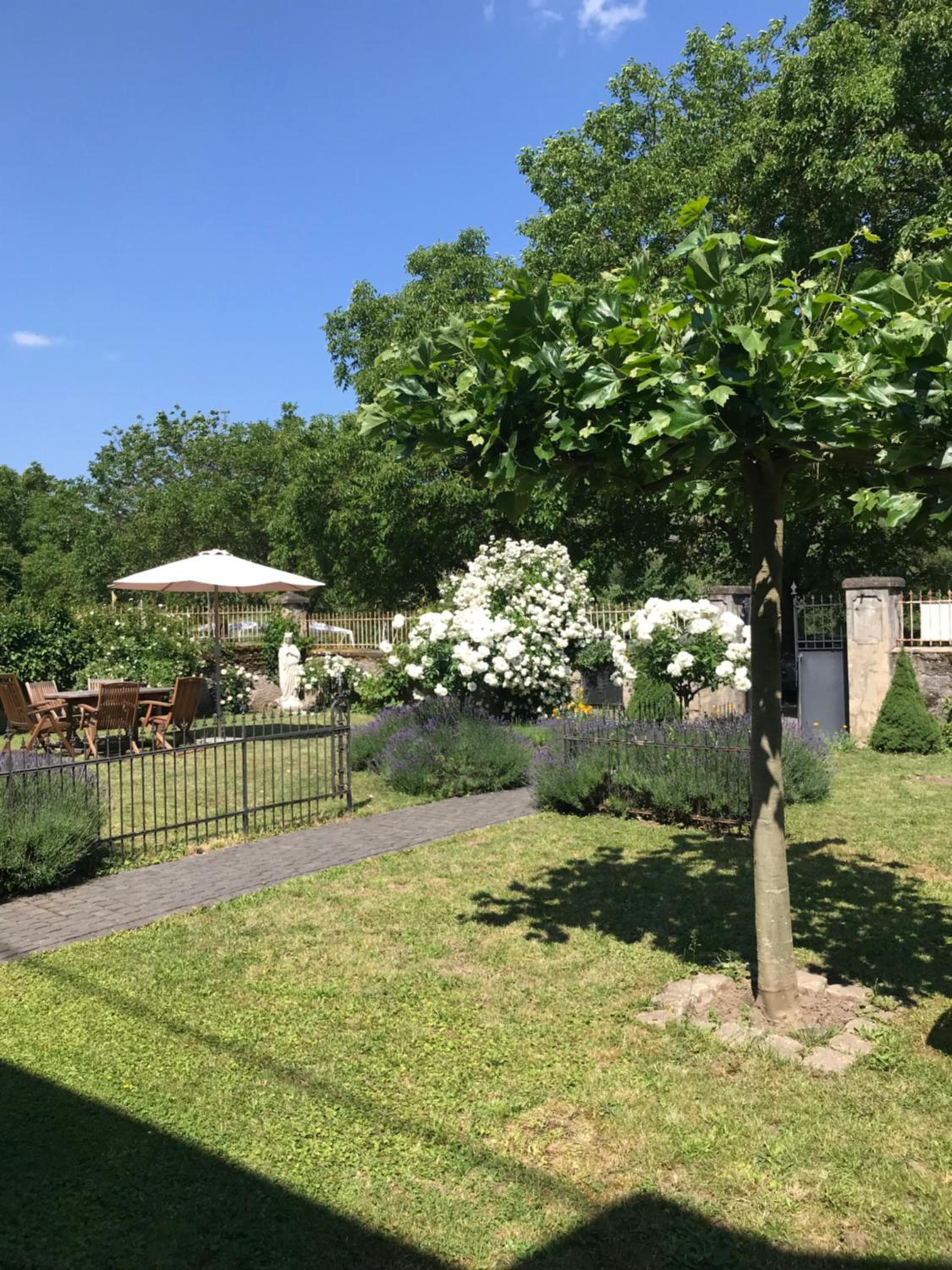 Apartment with Garden View photo 3