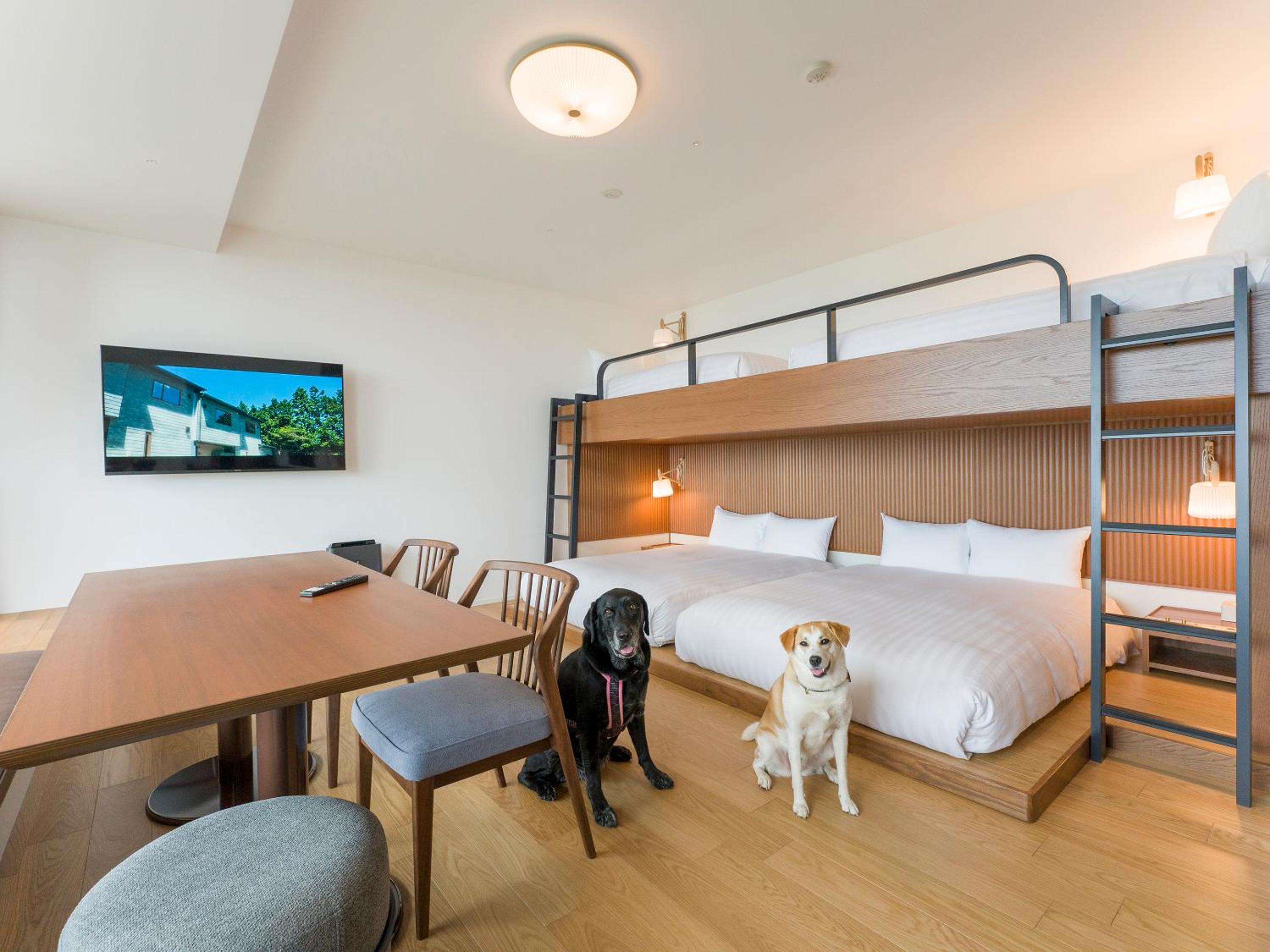 Family Room, Dog friendly, 1off-site parking lot - Photo 34