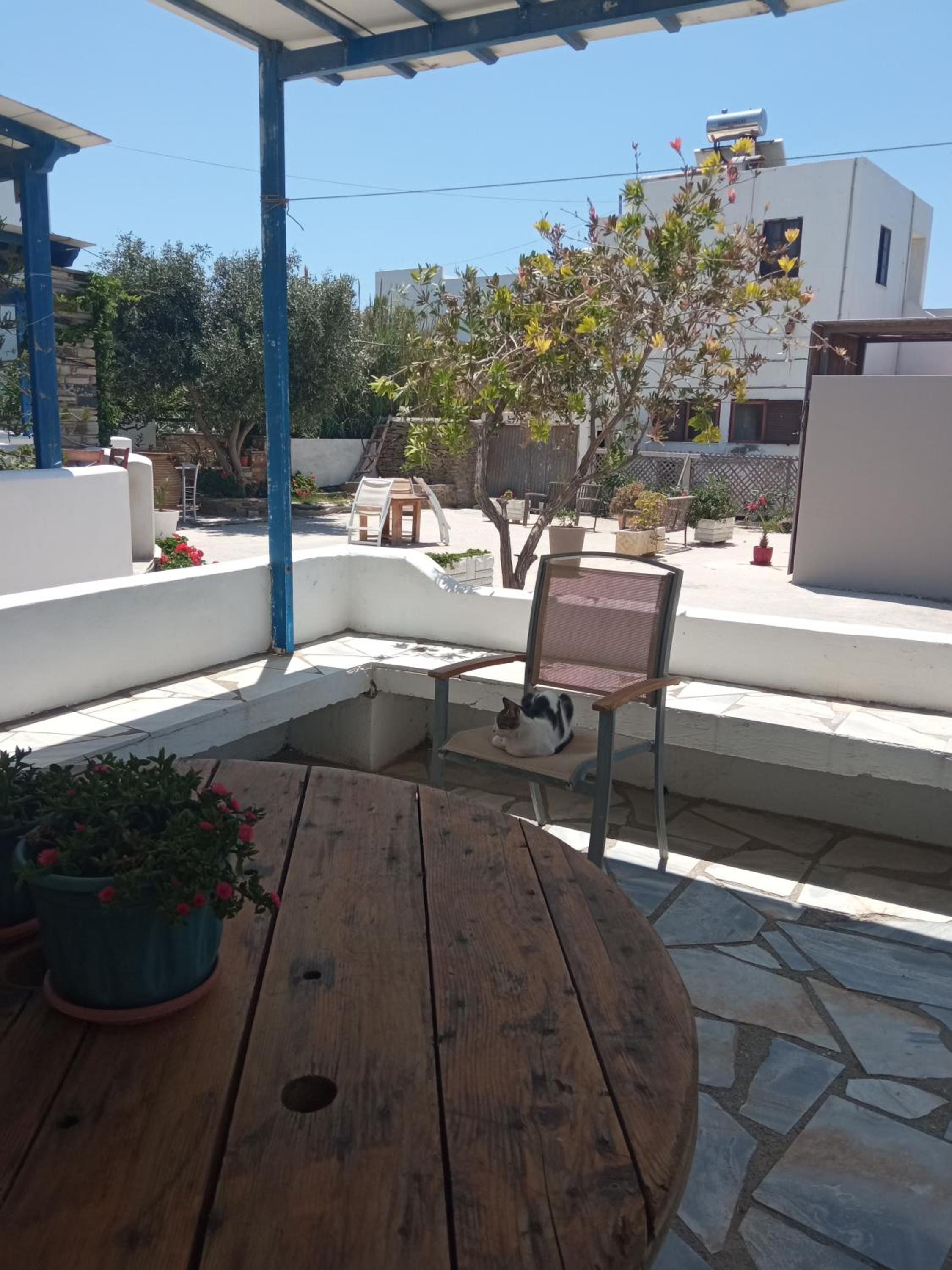 Apartment with Terrace - Photo 9